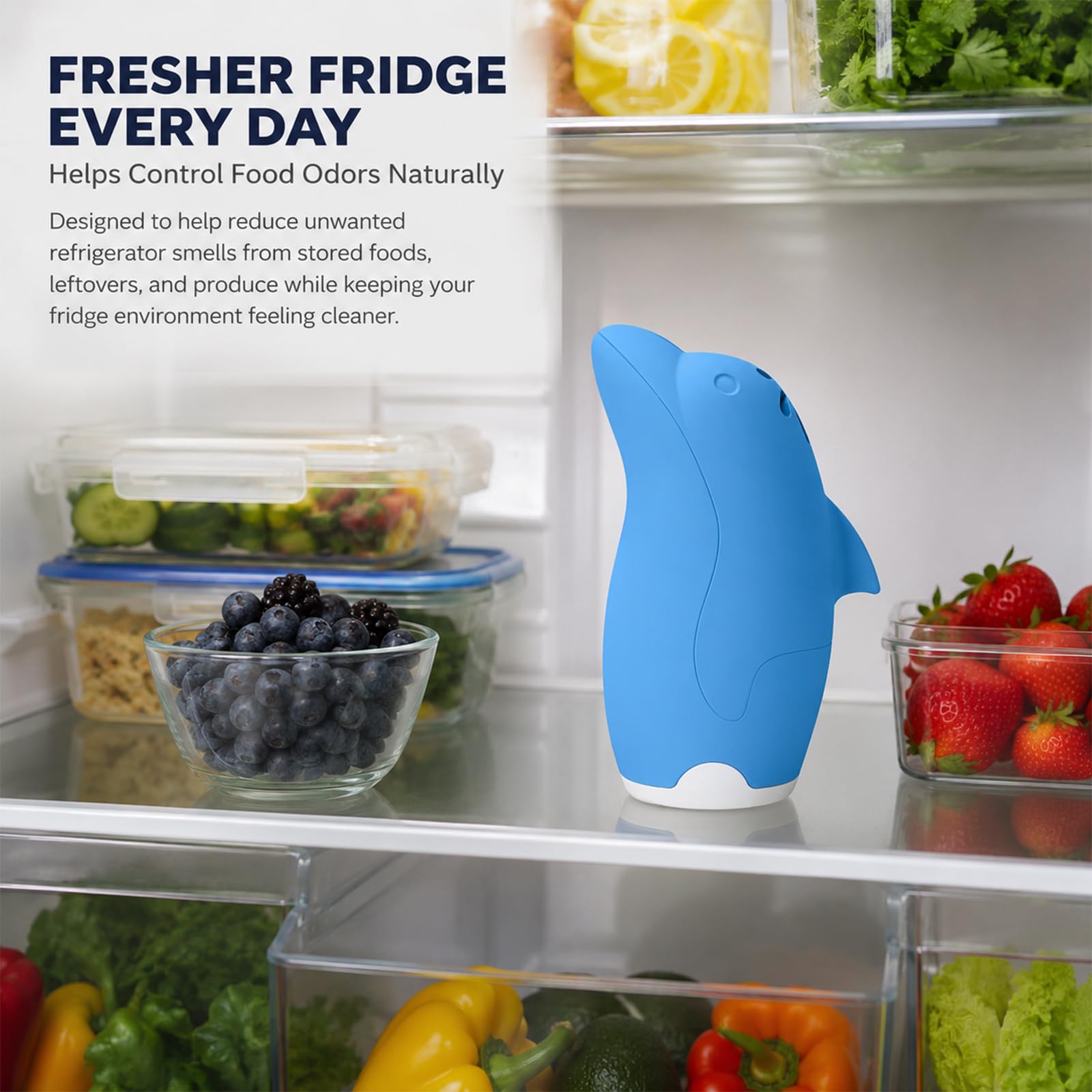 Refrigerator Deodorizer