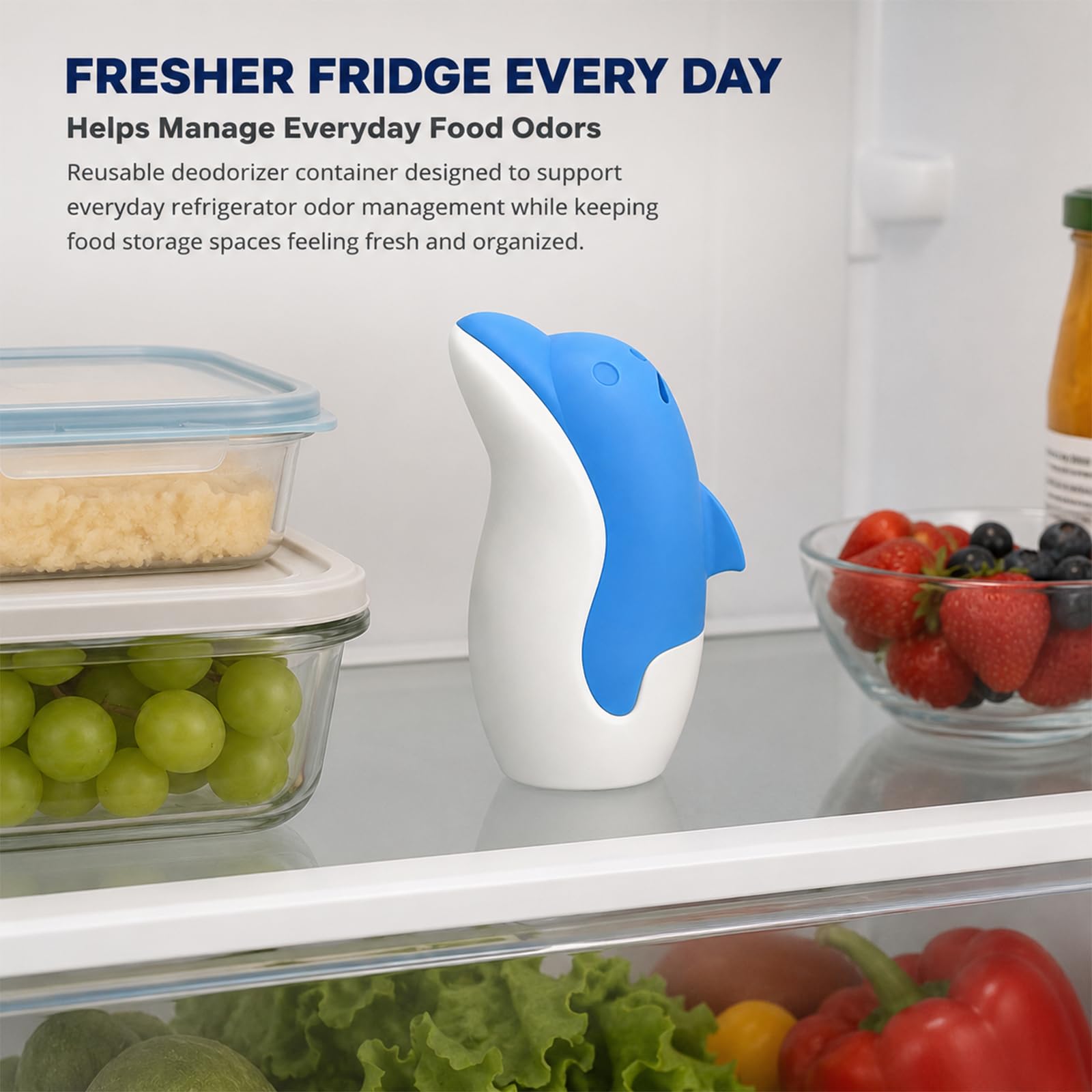 Dolphin Fridge Deodorizer Box