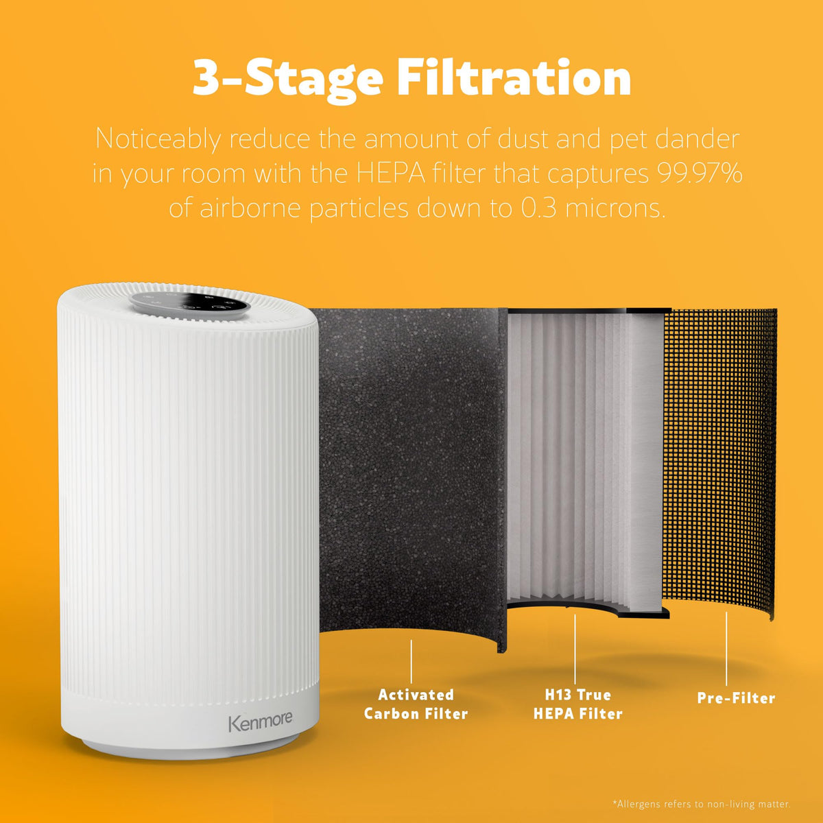 Air Purifier with H13 True HEPA Filter