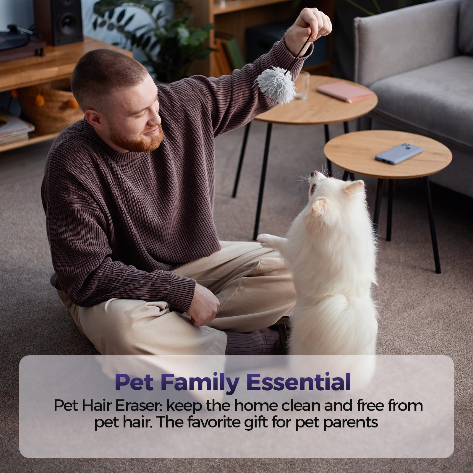 Pet Hair Handheld Vacuum Cordless