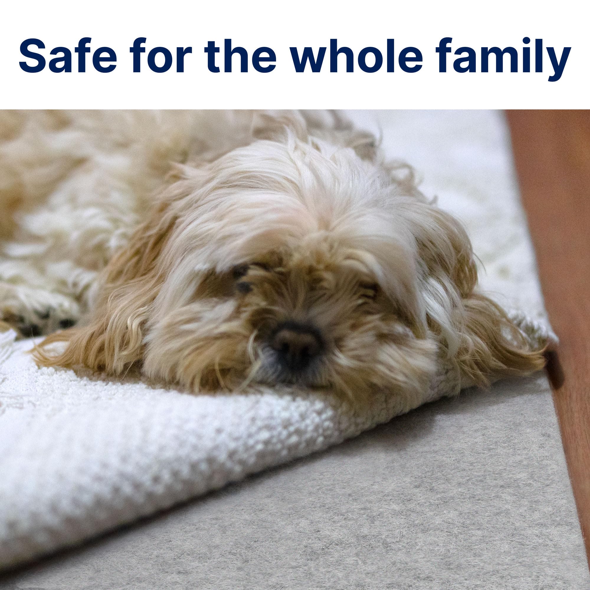 Eco-Plush - 5'x8' - 1/4" Thick - 100% Felt - Premium Cushioned Rug Pad - Available in 3 Thicknesses, Many Custom Sizes (40 Sq Ft)