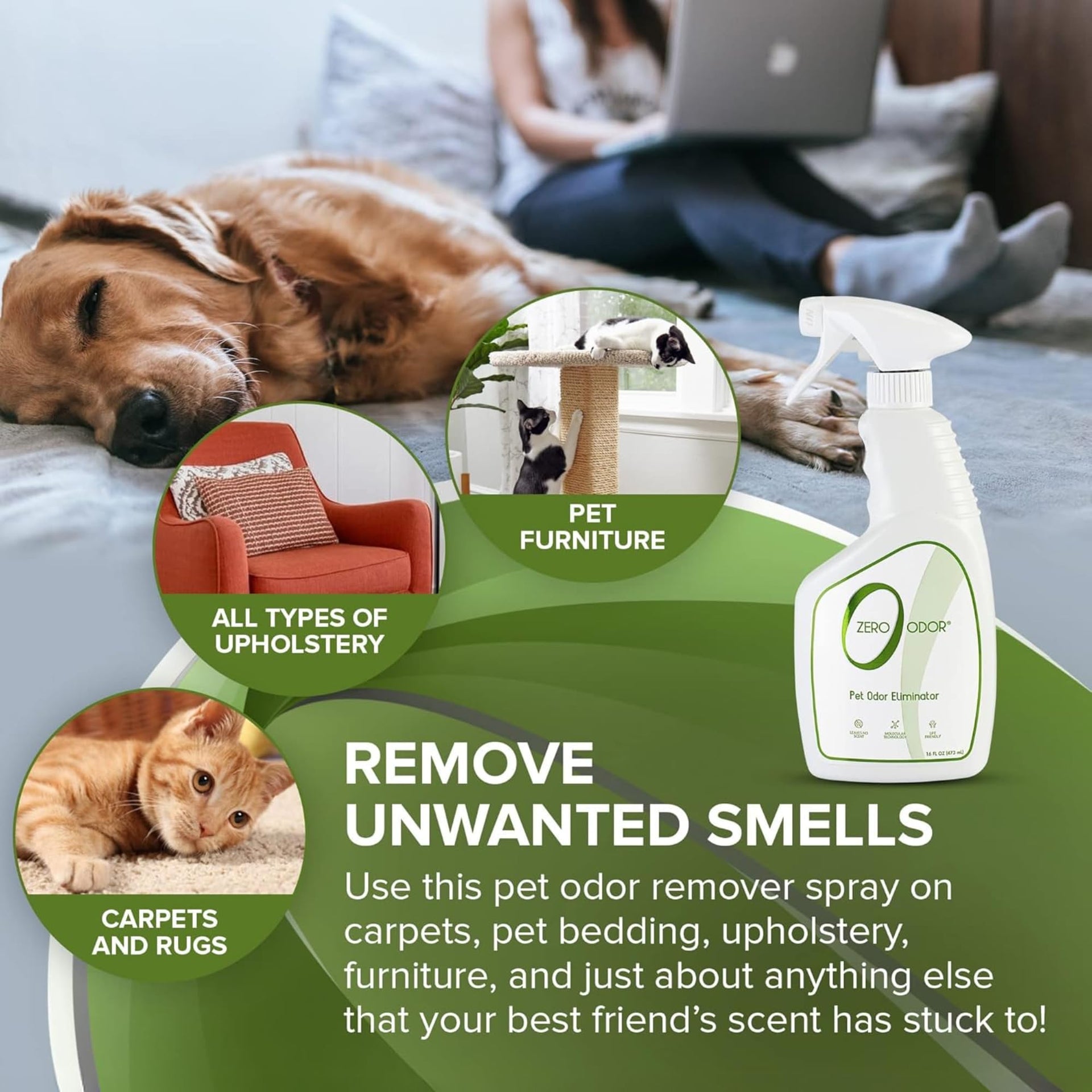 Pet Odor Eliminator Spray for Dog & Cat Urine (16 Fl Oz)