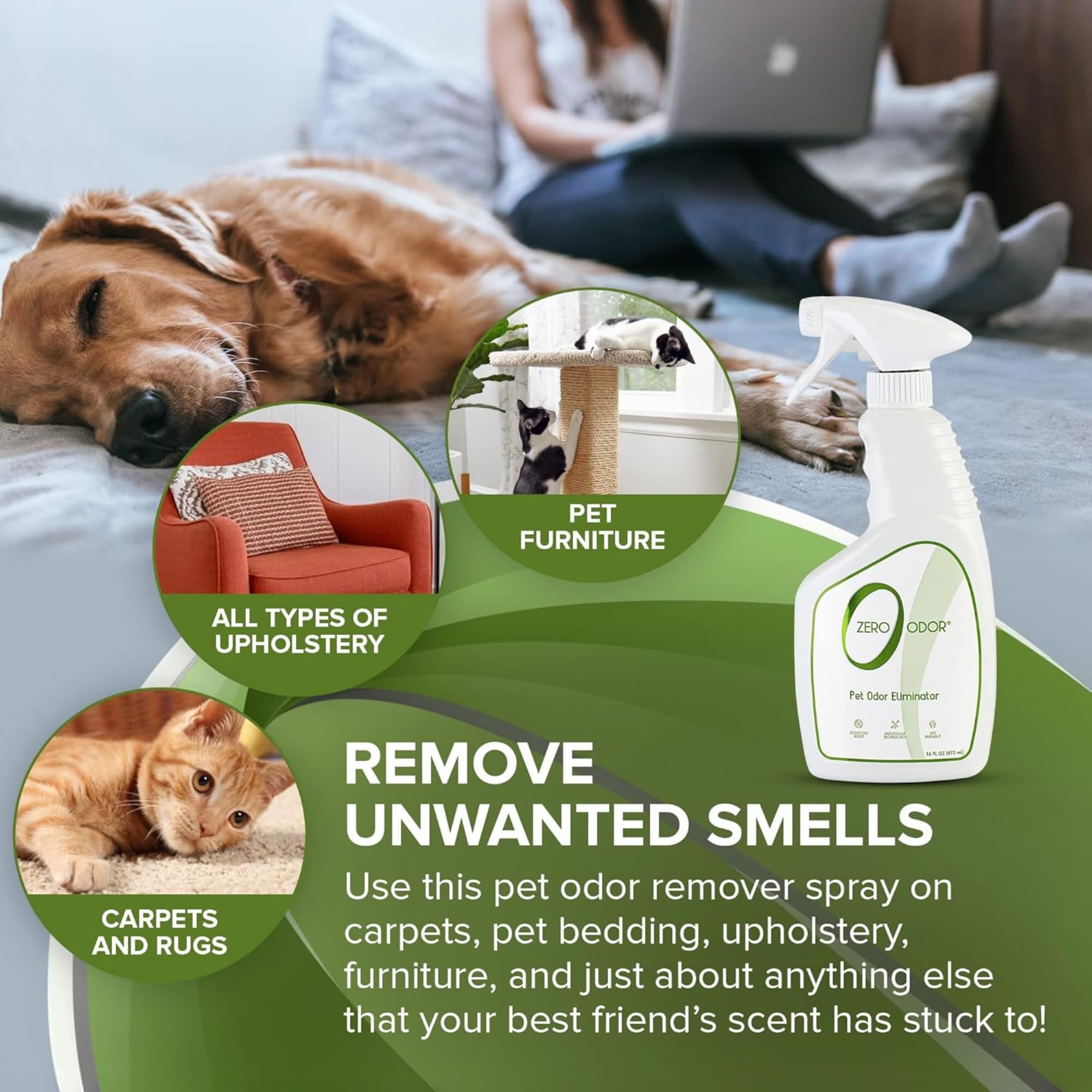 Pet Odor Eliminator Spray for Dog & Cat Urine (16 Fl Oz)