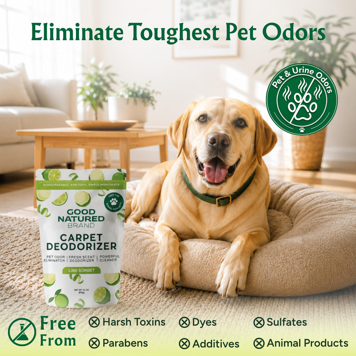 Carpet Deodorizer & Freshener Powder (31 Ounce)