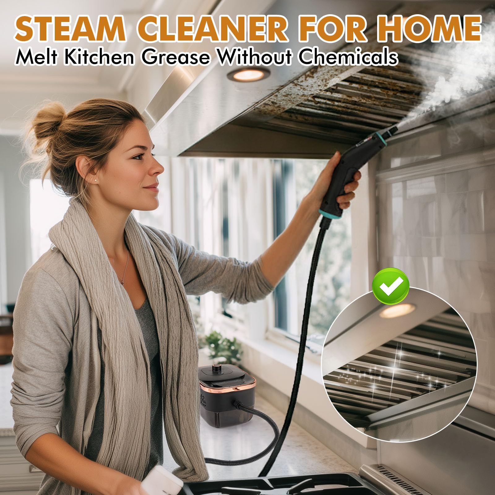 Steam Cleaner