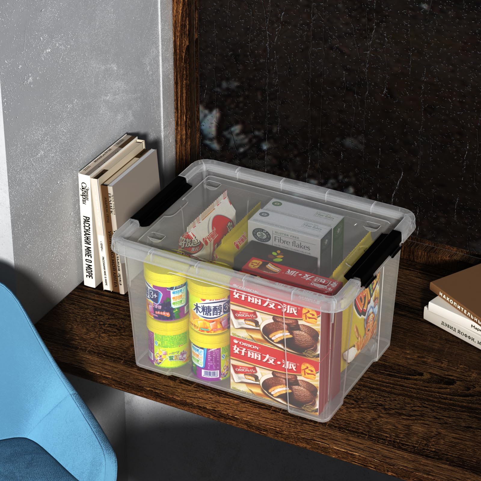 Clear Storage Totes with Lids (4 Count)