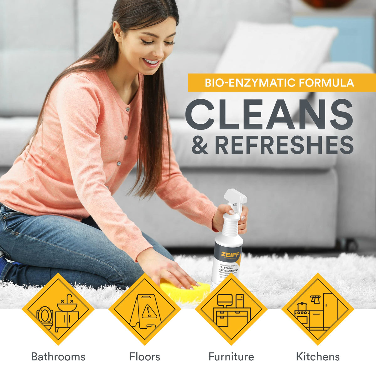 Pet Stain and Odor Remover (256 Fl Oz)