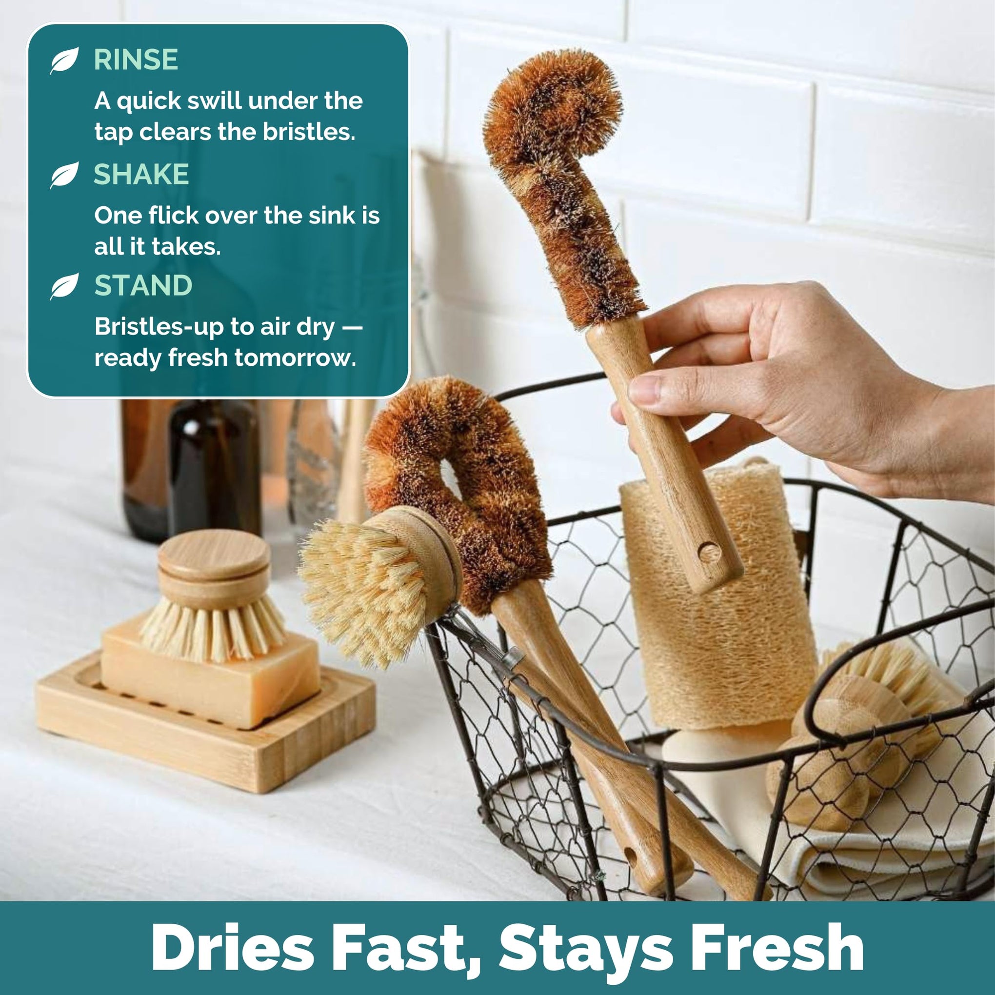 Bamboo Dish Brush Set • 6 Piece with Bottle Brush & Scrubber (6 Count)
