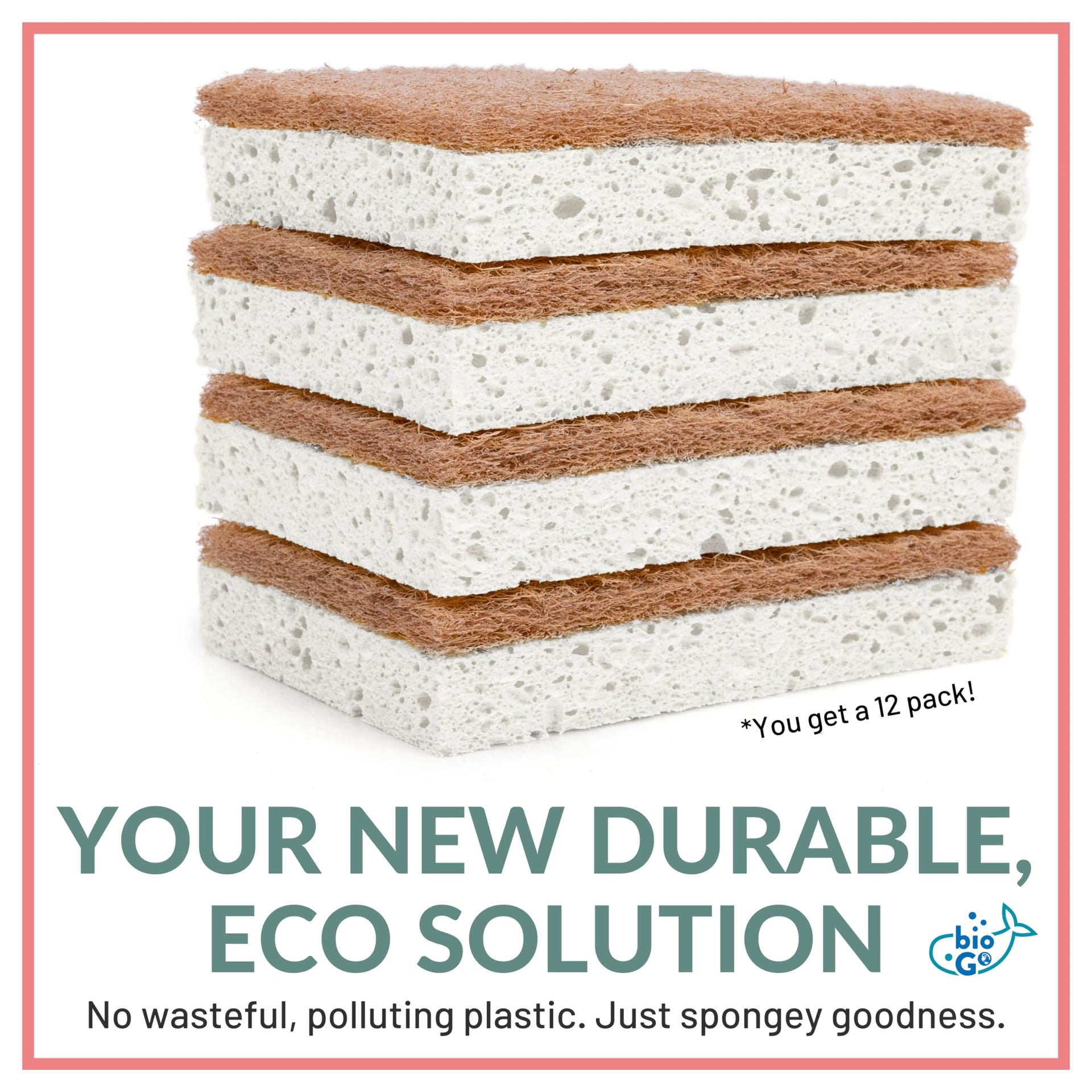 White 12 Pack Biodegradable Kitchen Sponge (12 Count)