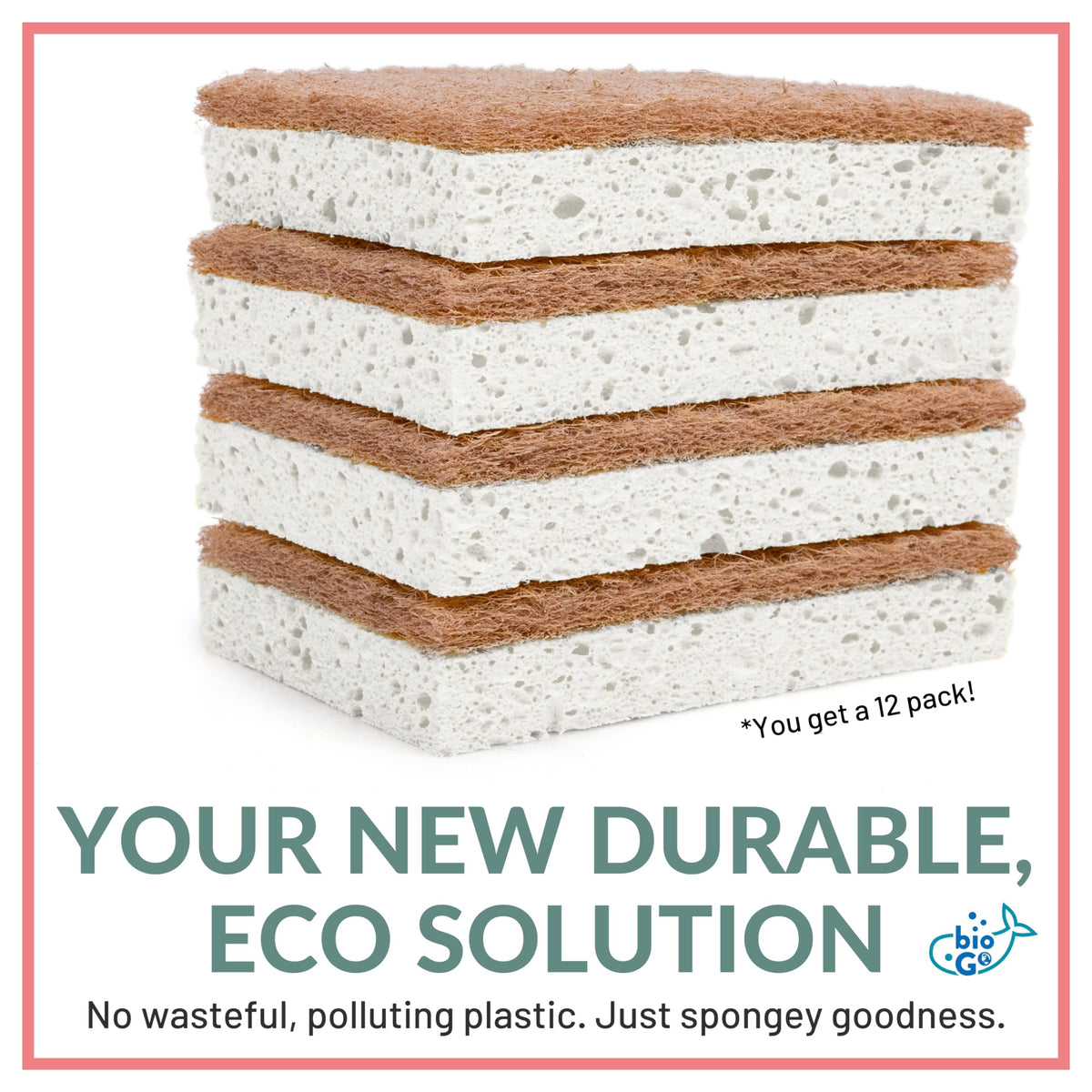 White 12 Pack Biodegradable Kitchen Sponge (12 Count)
