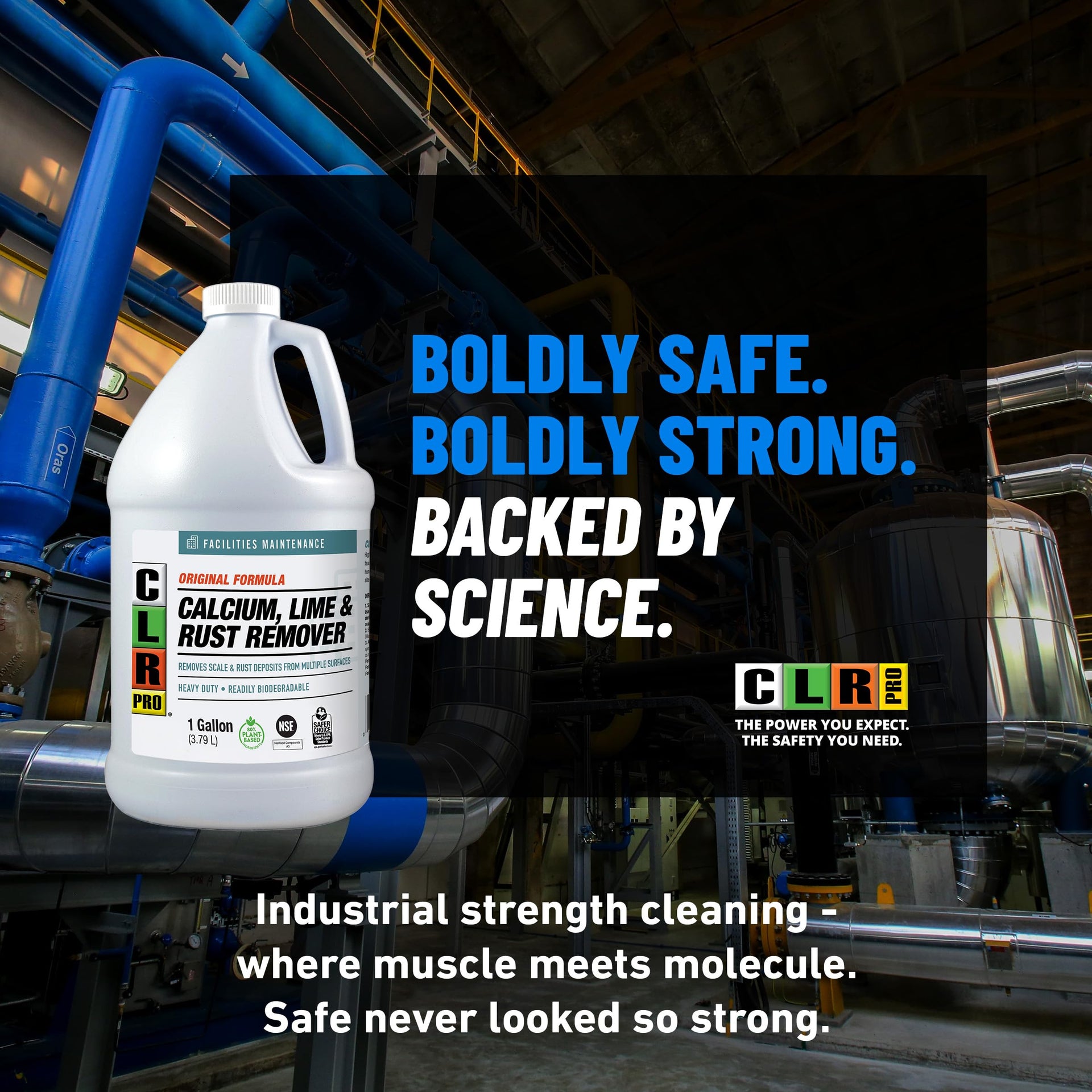 Pro Calcium Lime & Rust Remove (128 Ounce)
