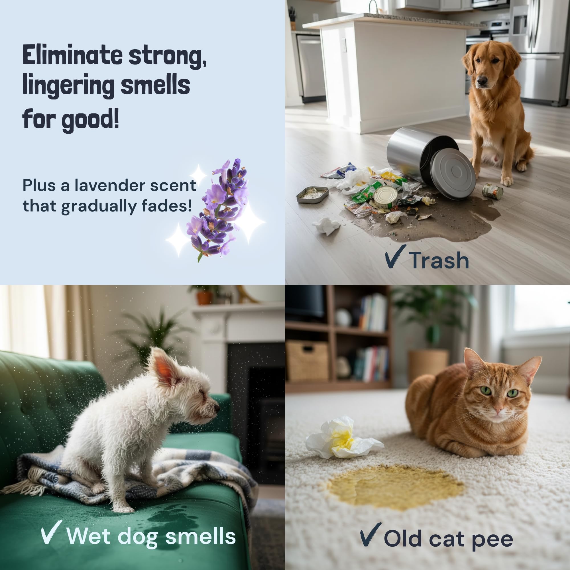 Pet Stain and Odor Remover Spray for Carpets (32 Fl Oz)
