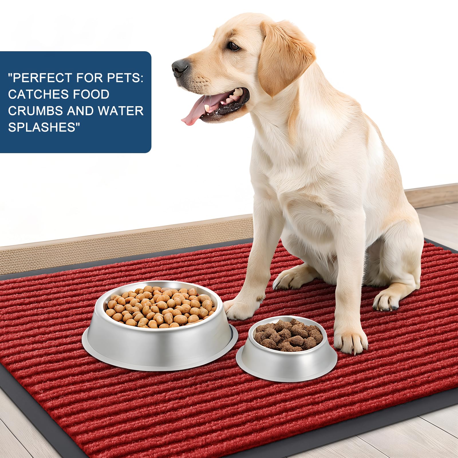 Front Door Mat 47x30