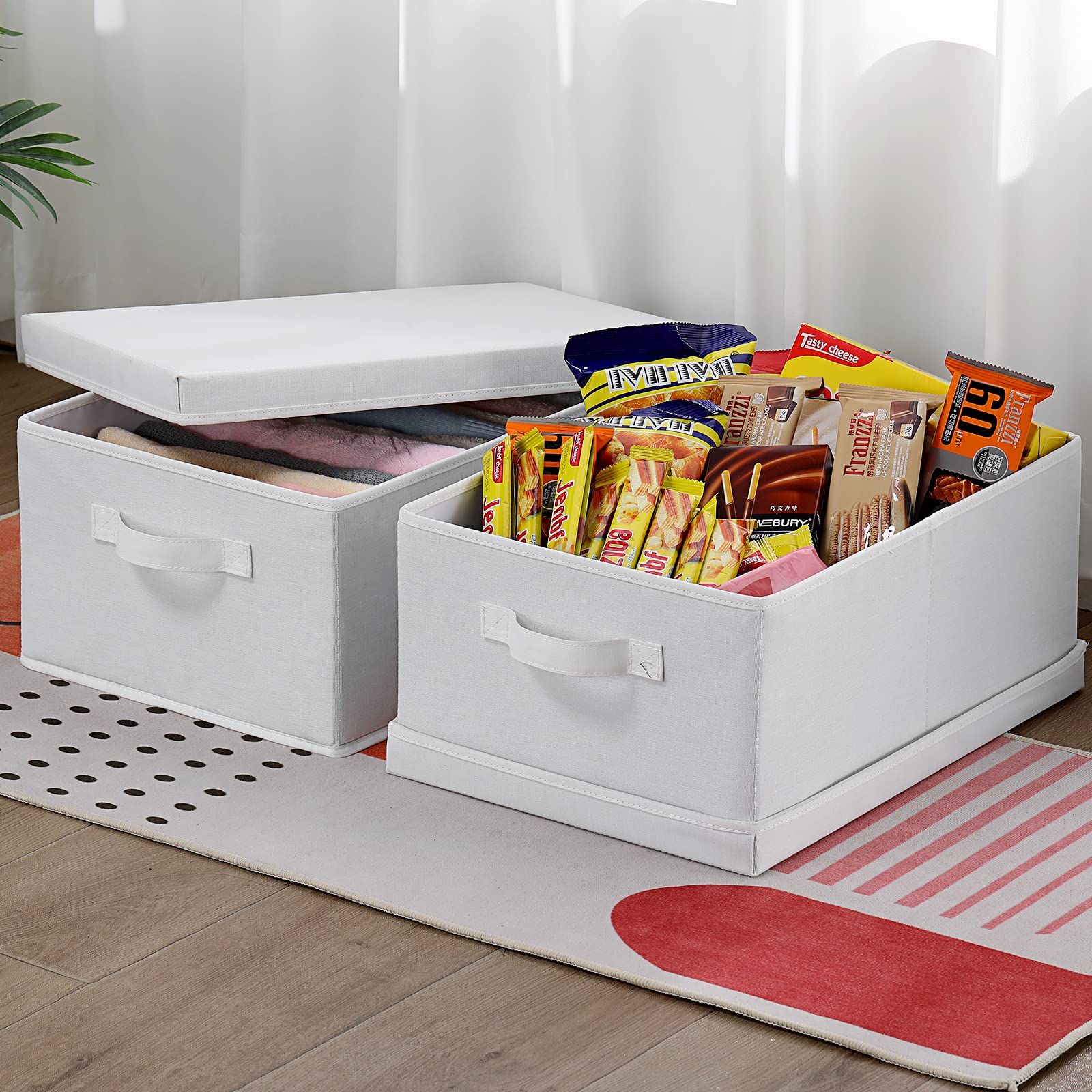 Storage Bins with Lids for Organizing (2 Count)