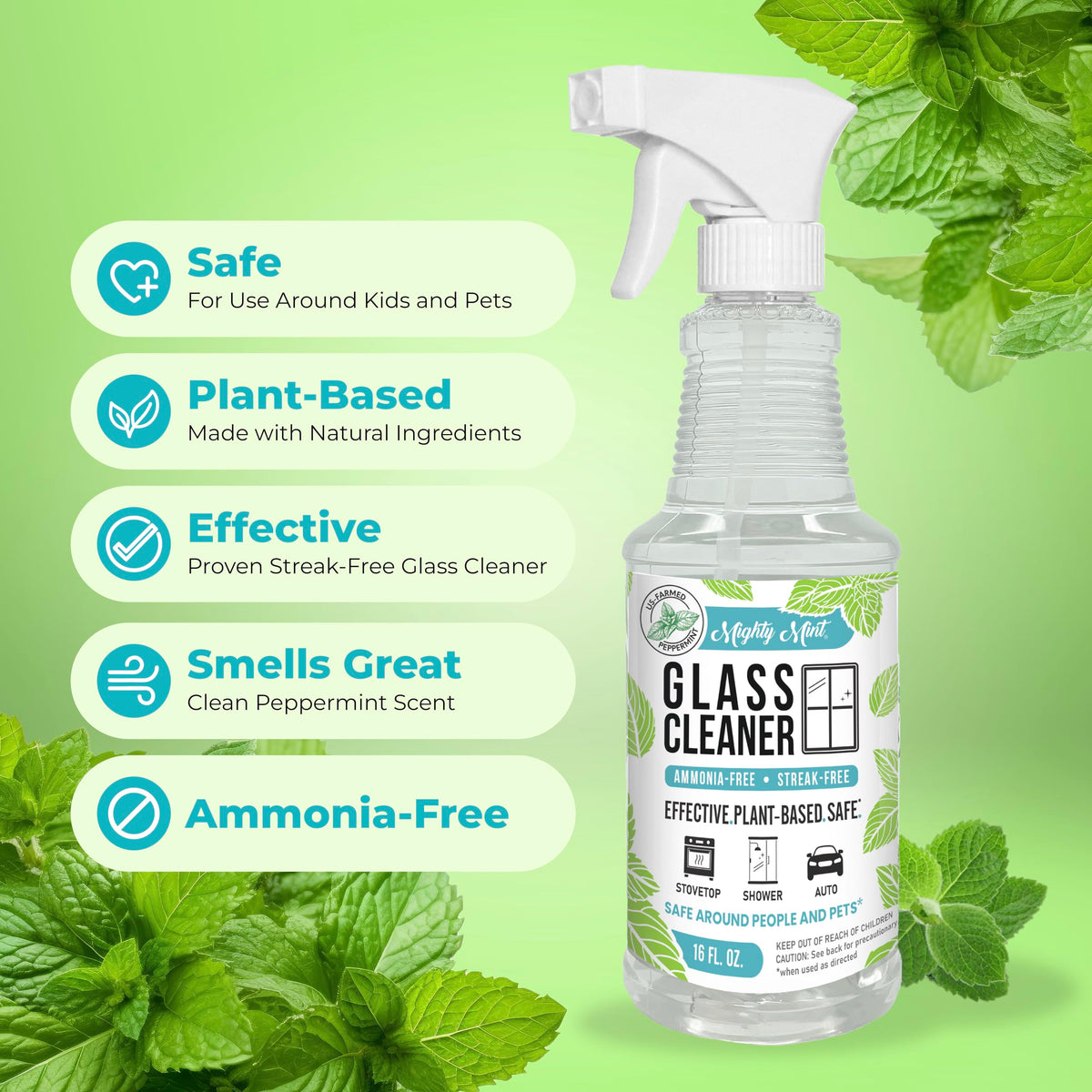 Glass Cleaner (16 Fl Oz)