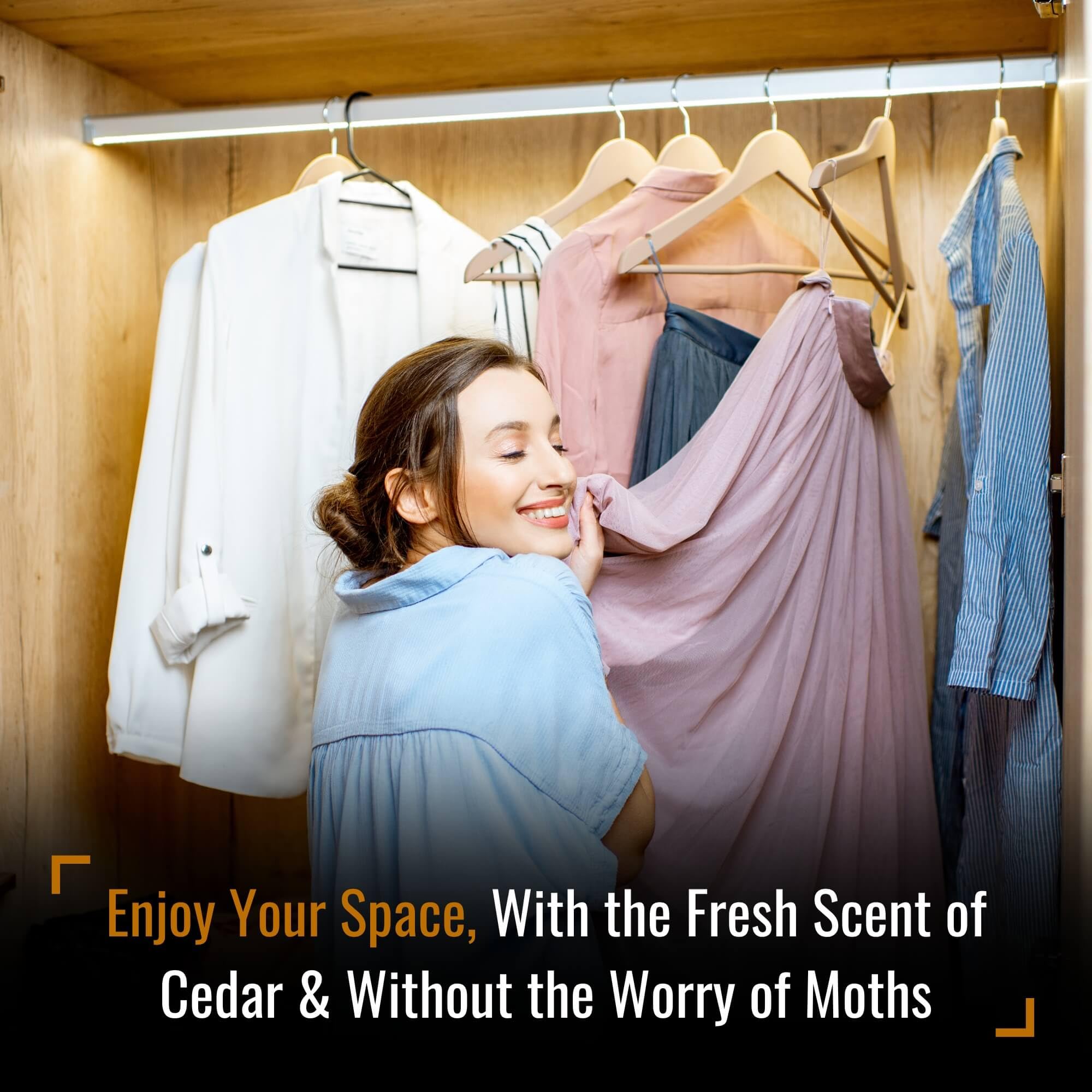 Cedar Moth Repellent Canisters (8 Count)