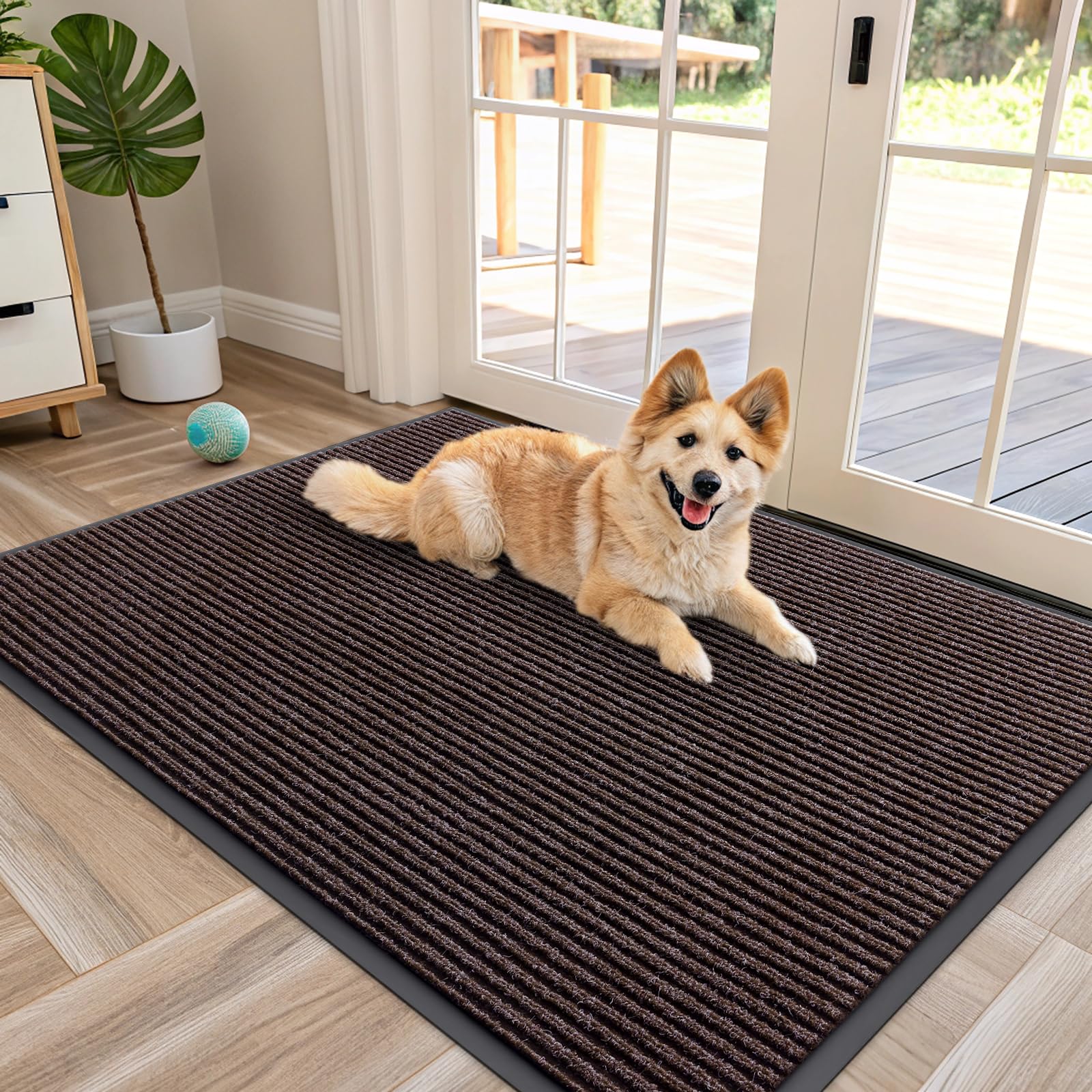 Front Door Mat 47x30