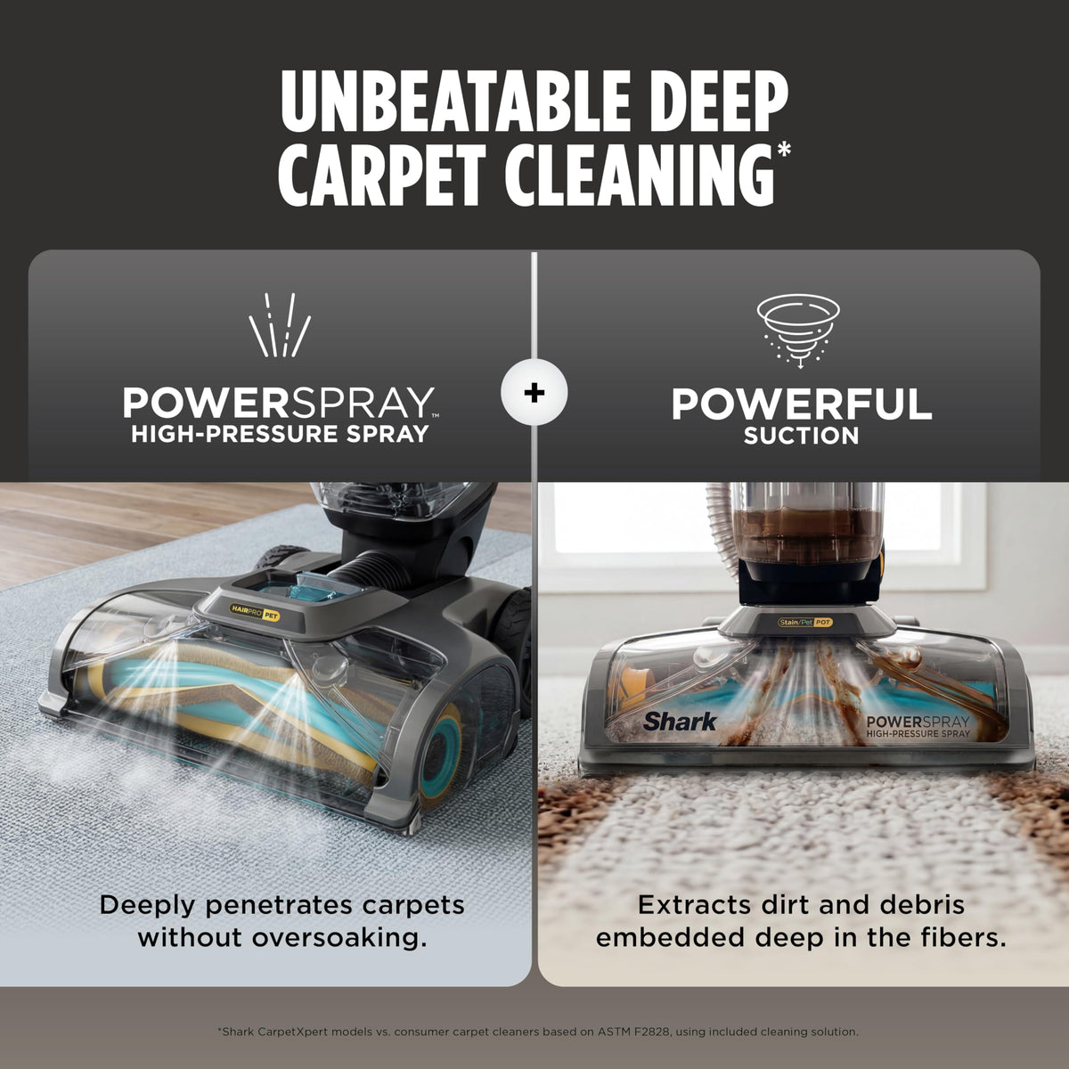 CarpetXpert HairPro StainStriker Carpet & Stain Cleaner