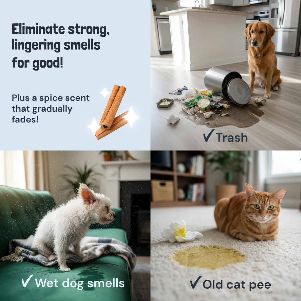 Pet Stain and Odor Remover Spray for Carpets (32 Fl Oz)