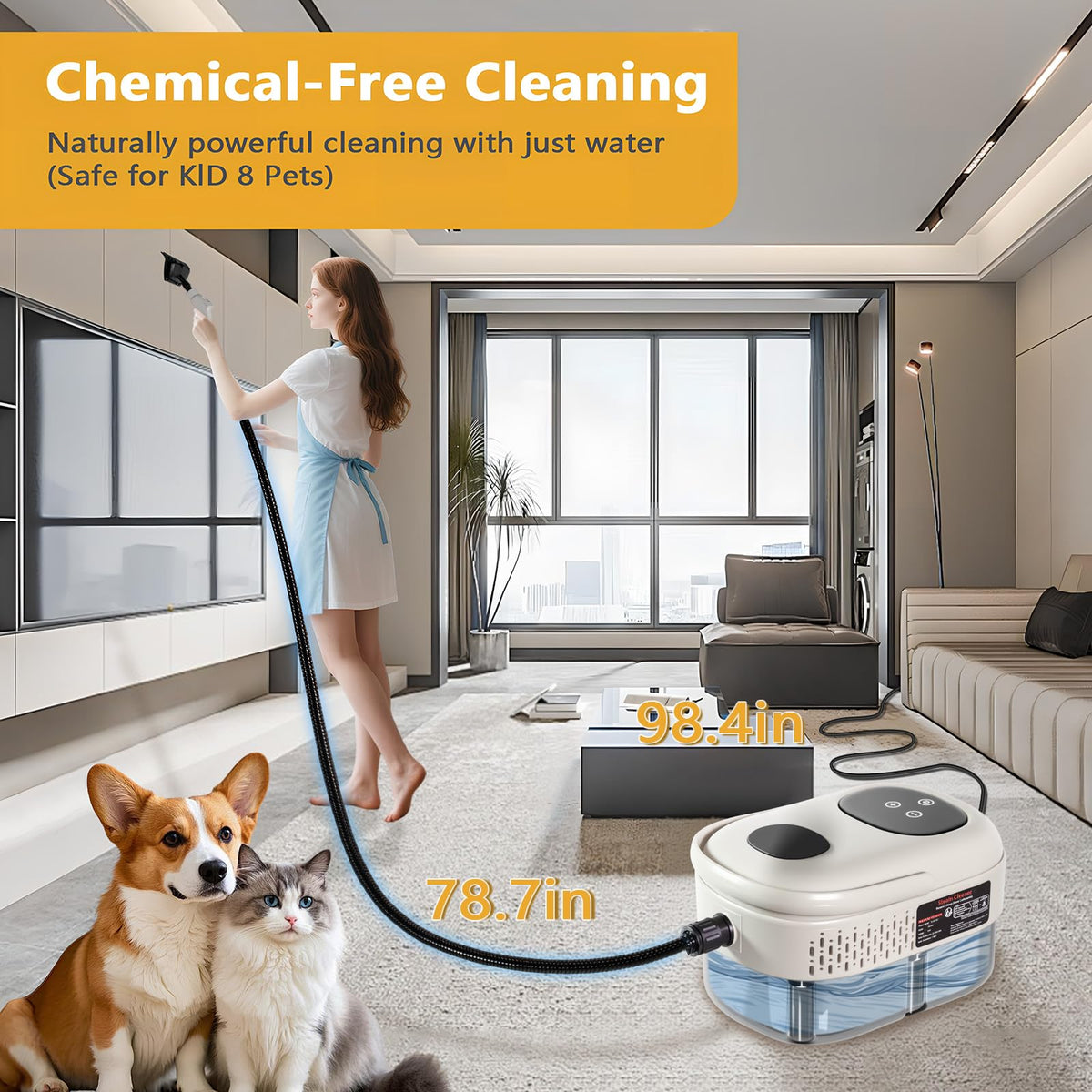 Handheld Steam Cleaner
