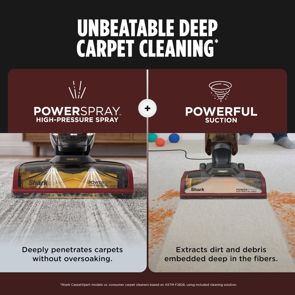 CarpetXpert HairPro