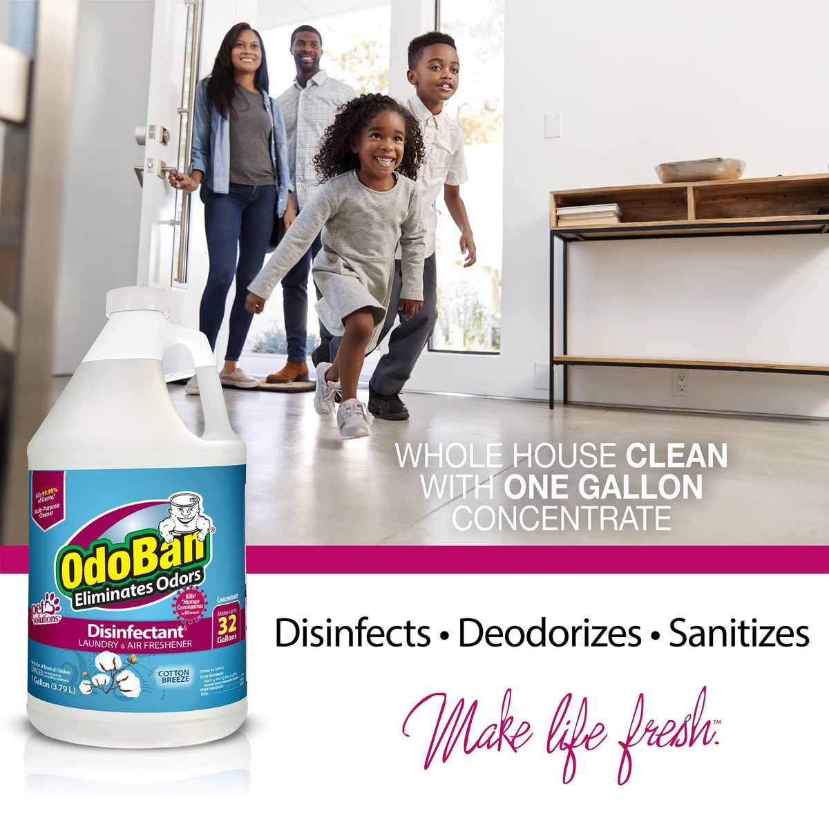 Multipurpose Cleaner Concentrate (256 Fl Oz) - ModHome Supplies