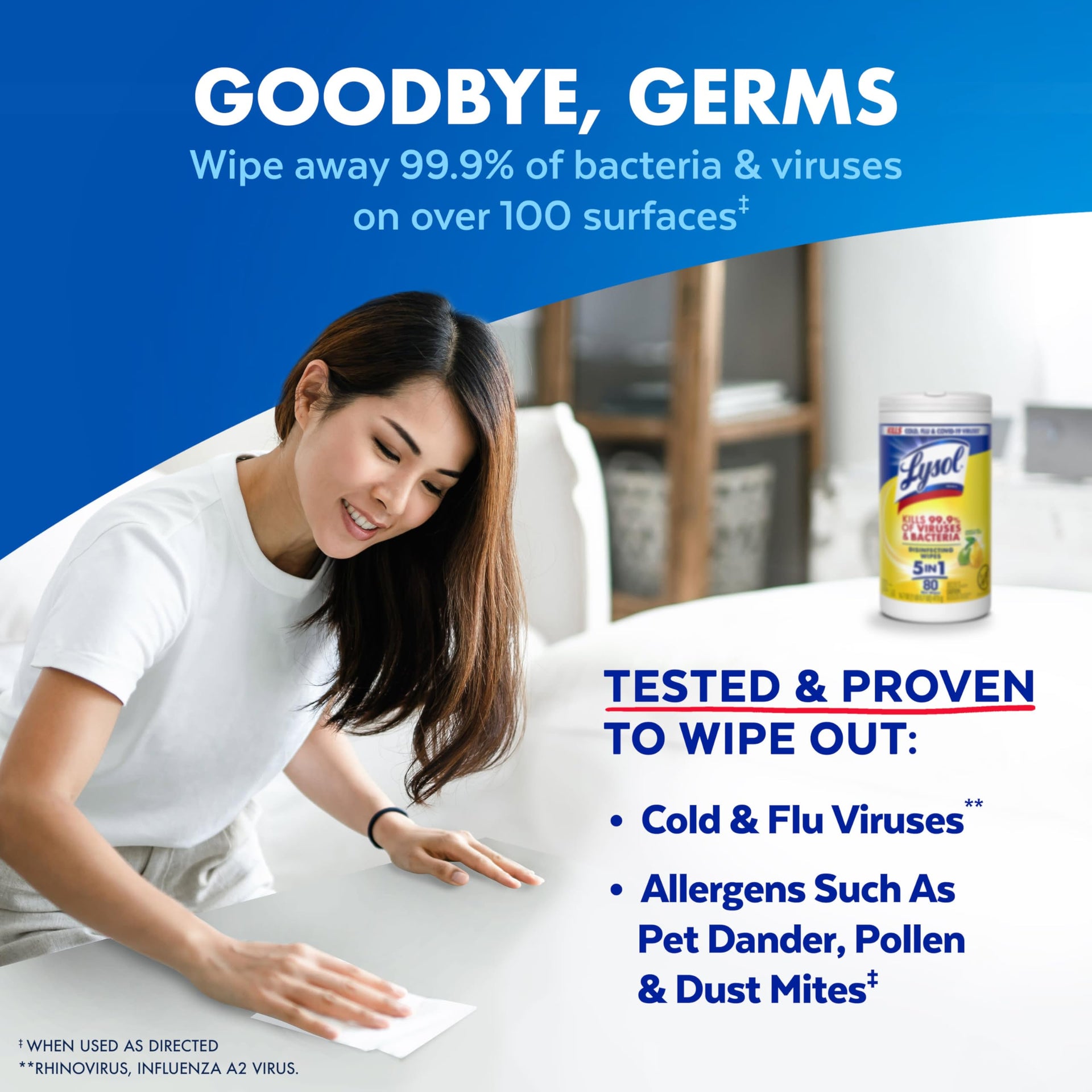 Disinfecting Wipes (240 Count)