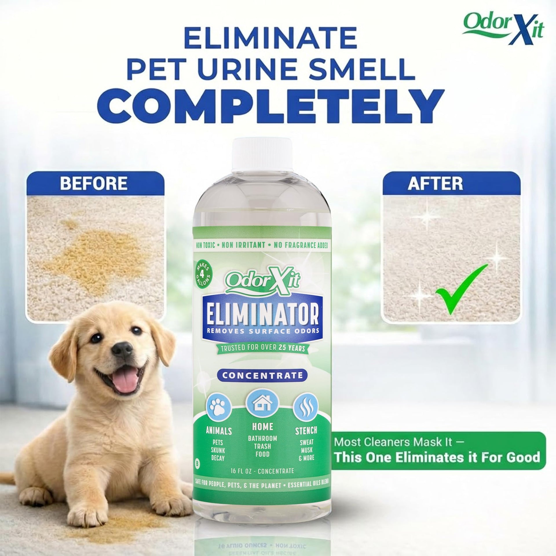Concentrated Pet Urine Odor Eliminator (16 Fl Oz)