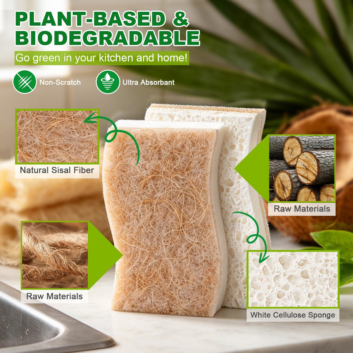 Kitchen Dish Sponges (24 Count)