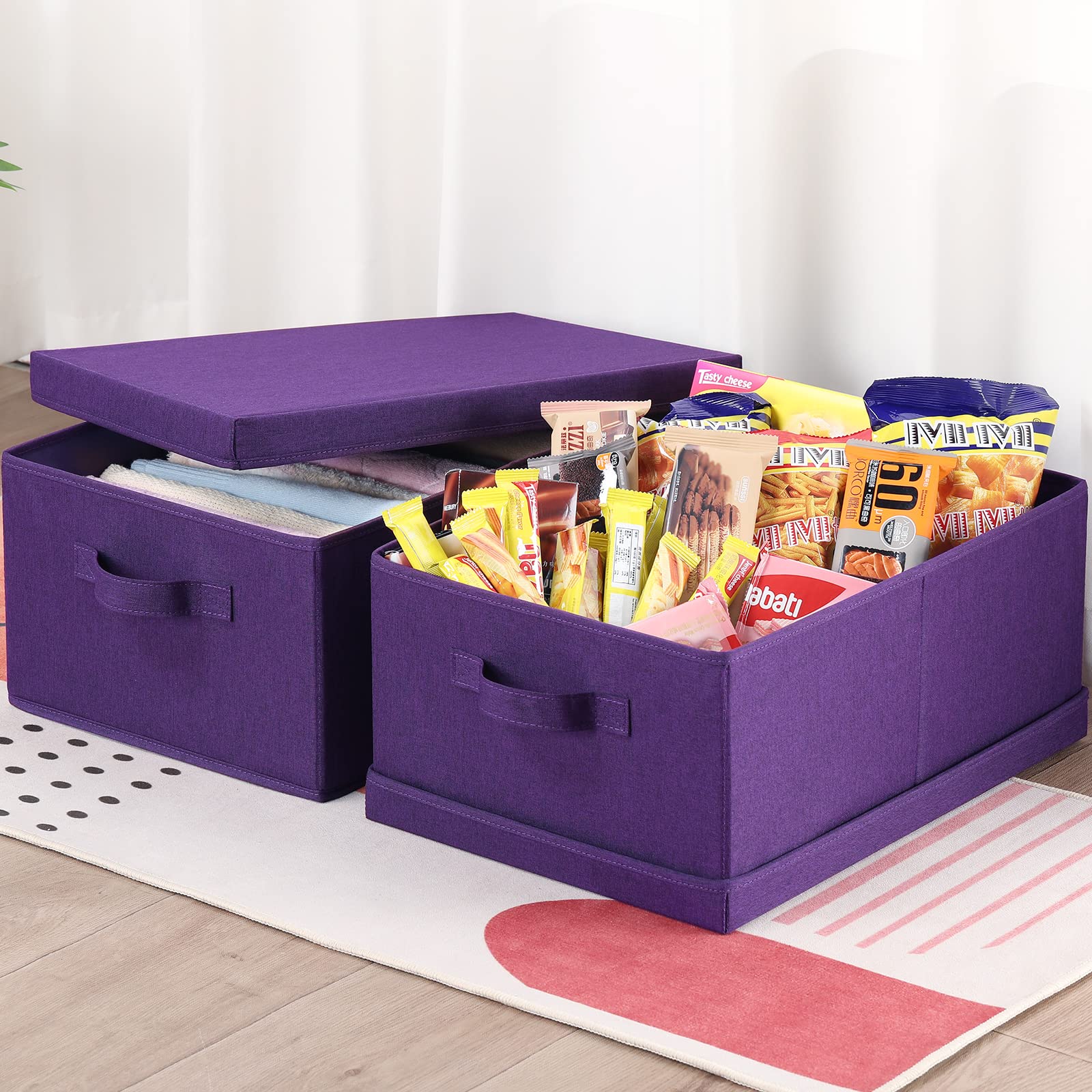 Storage Bins with Lids for Organizing (2 Count)