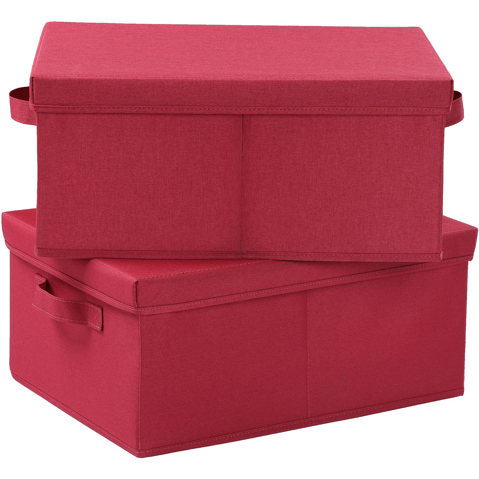 Storage Bins with Lids for Organizing (2 Count)