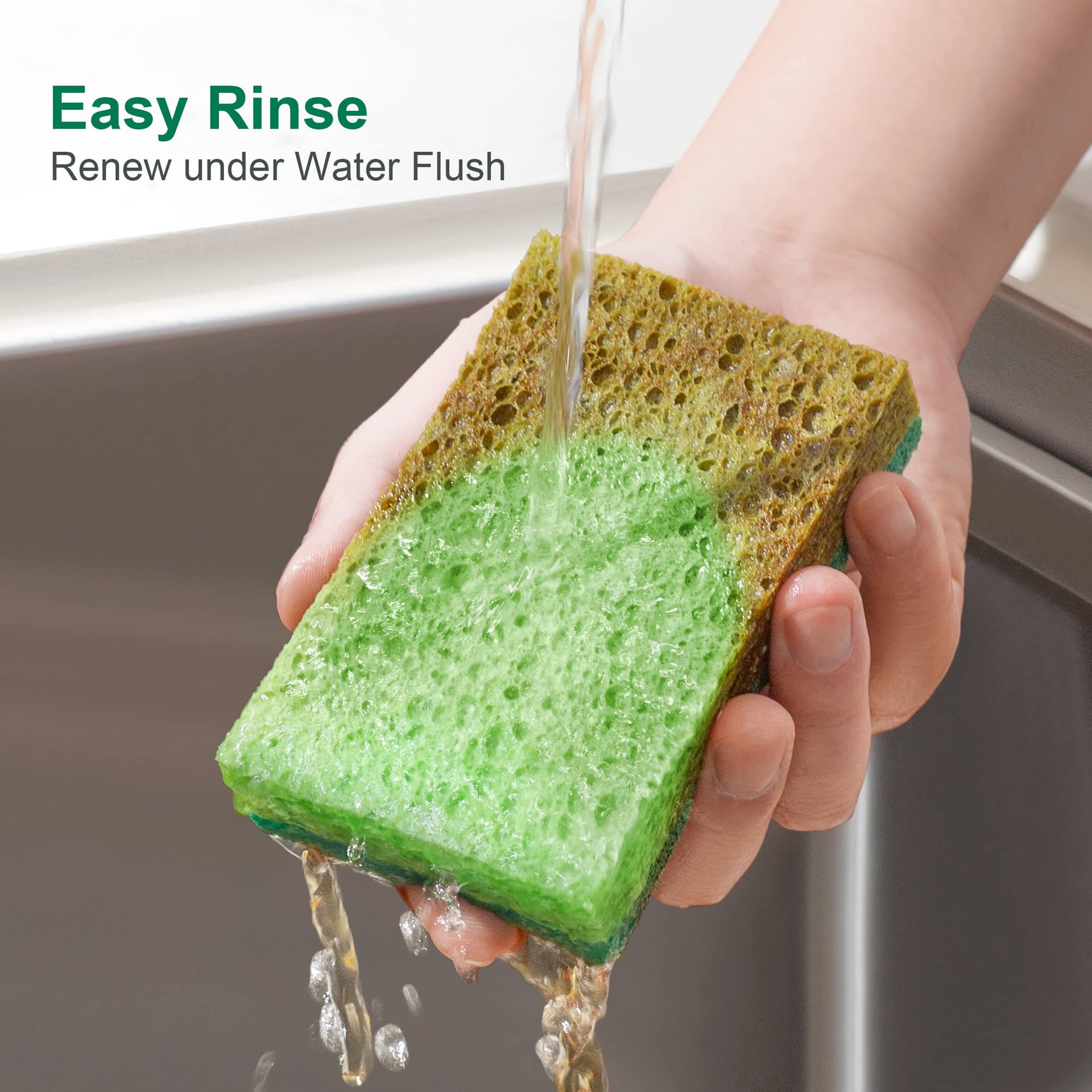 Clean Sponges (6 Count)