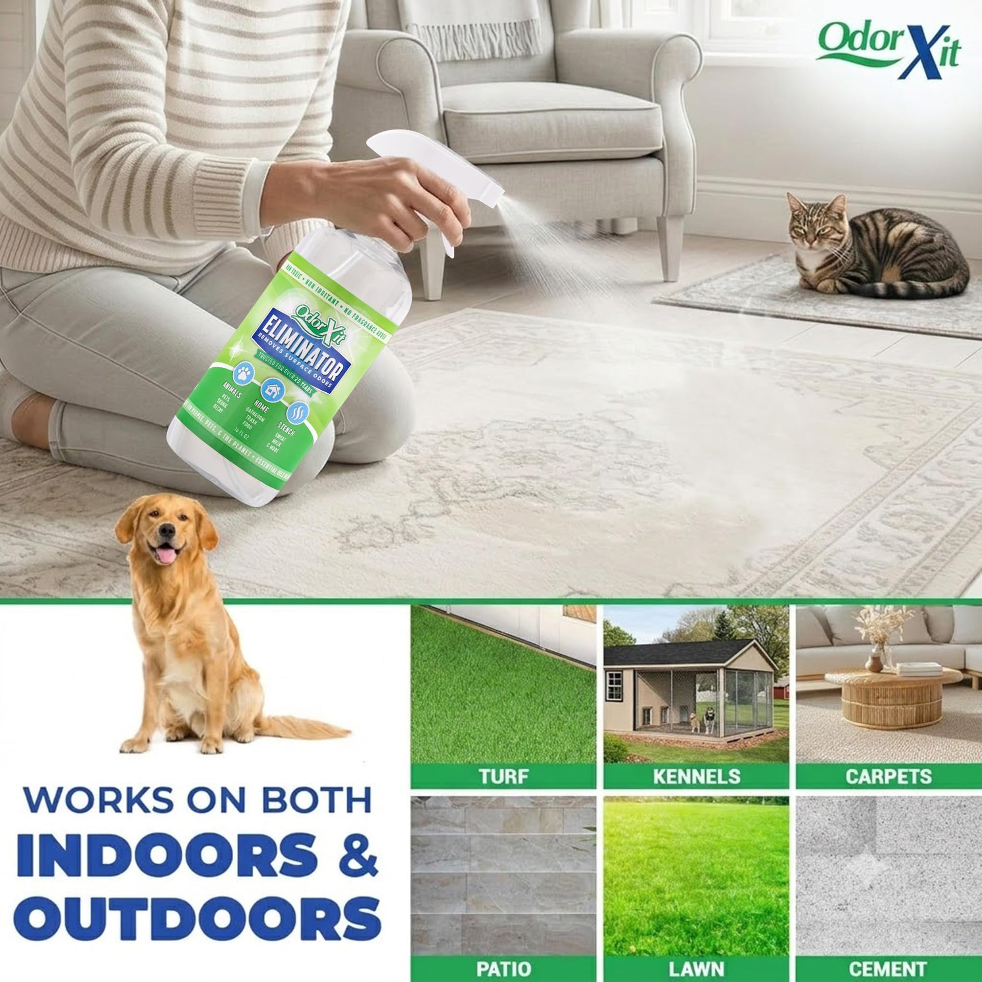 Pet Urine Odor Eliminator Spray (16 Fl Oz)
