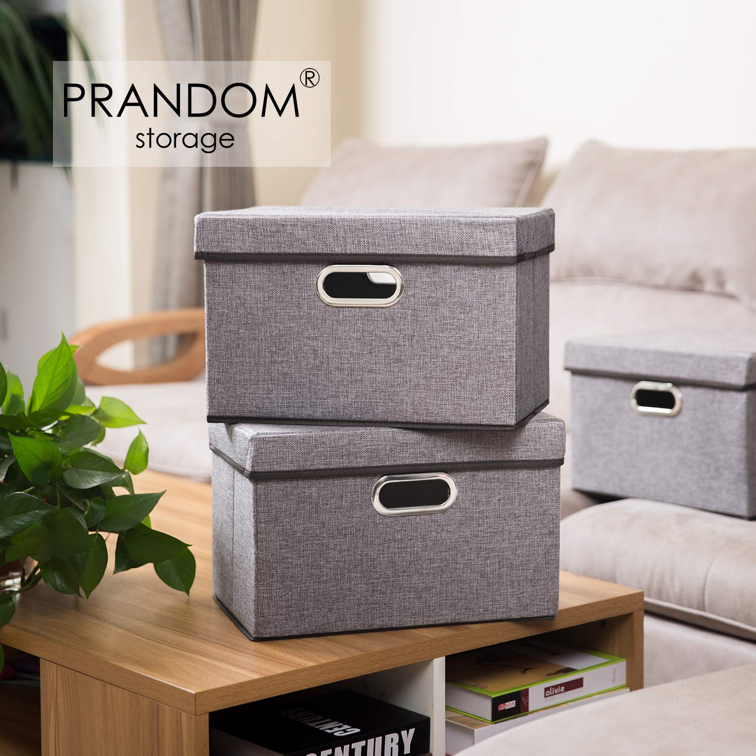 Collapsible Storage Containers with Lids [5 (5 Count)