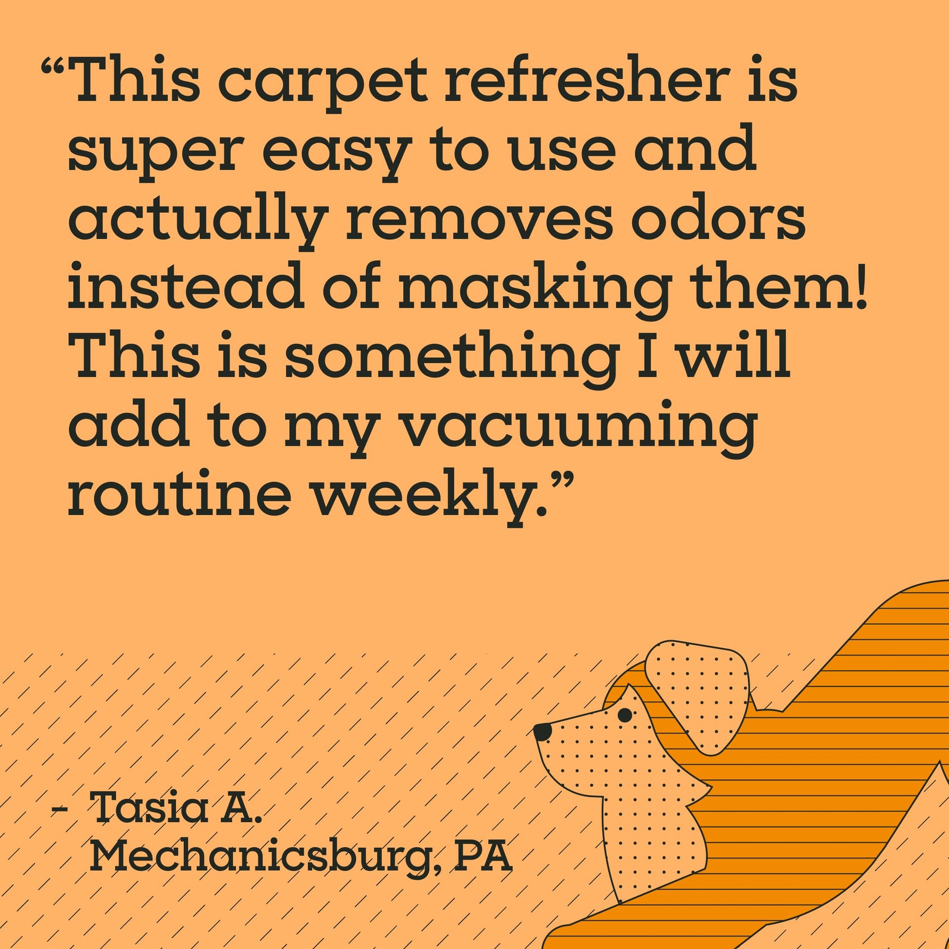 Carpet Deodorizer Powder (16 Ounce)