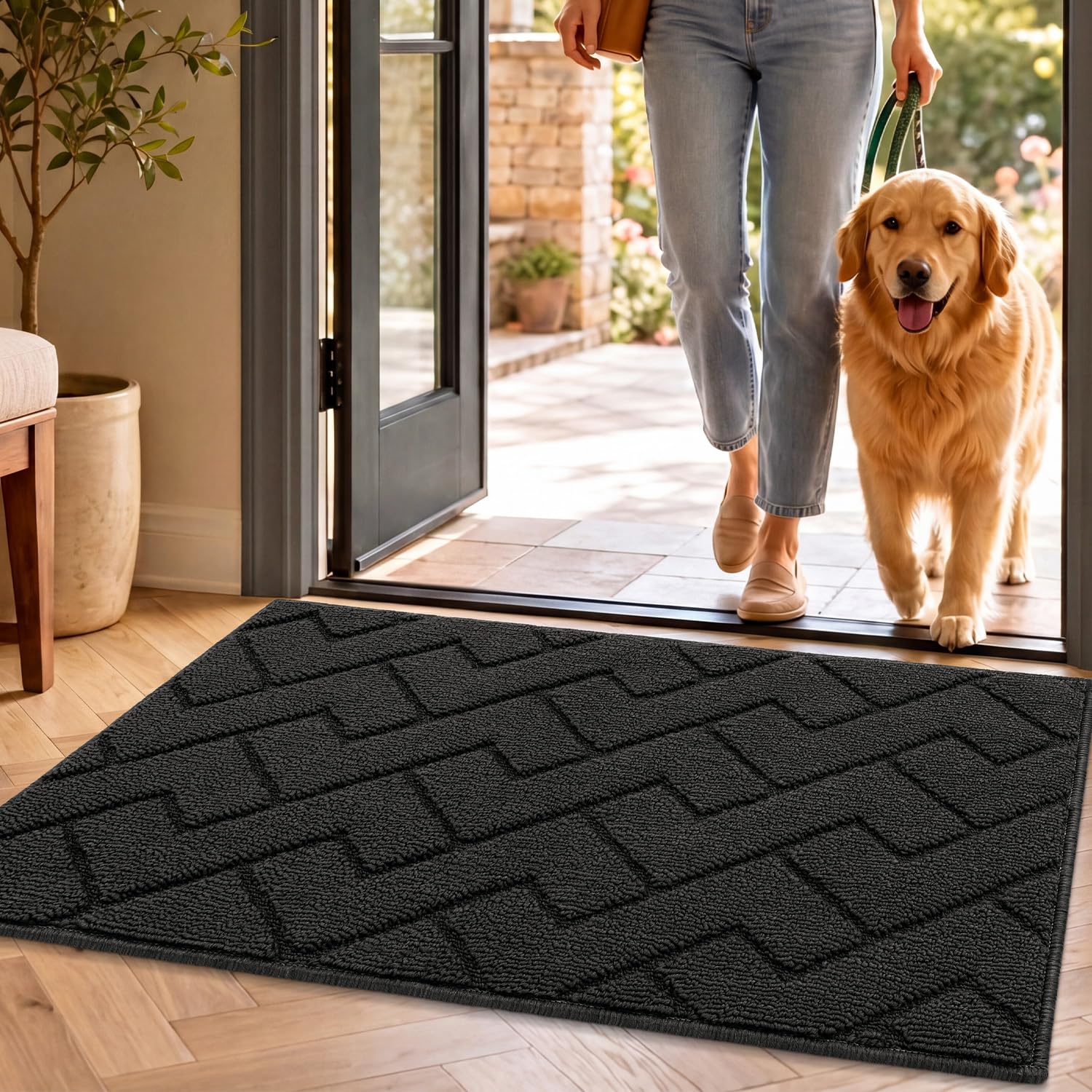 Front Door Mat Indoor Entrance