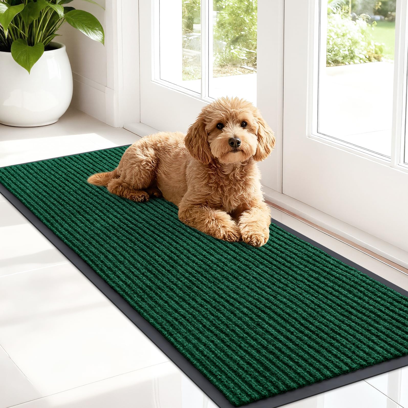 Front Door Mat 47x17
