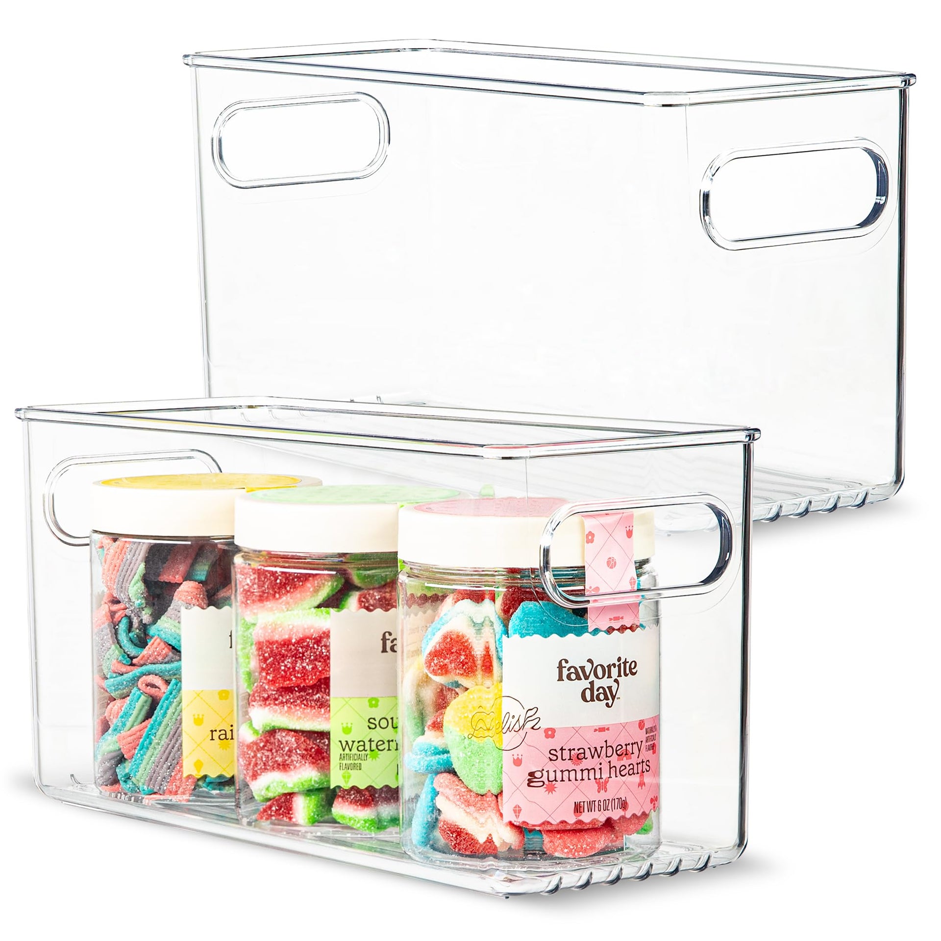 Plastic Food Storage 2 Pack Clear Container Bin with Handles for Organizing Kitchen (2 Count)