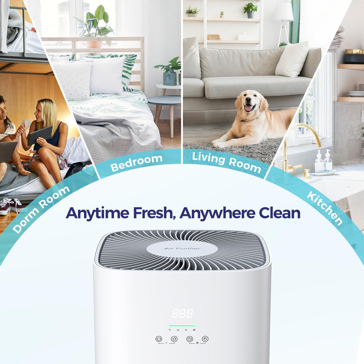 Air Purifier for Home Large Room & Pets