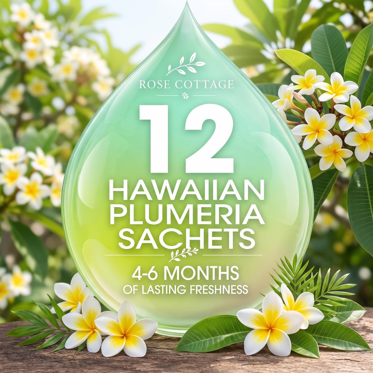 Large 12 Packs Hawaiian Plumeria Hanging Scented Sachets Long (12 Count)