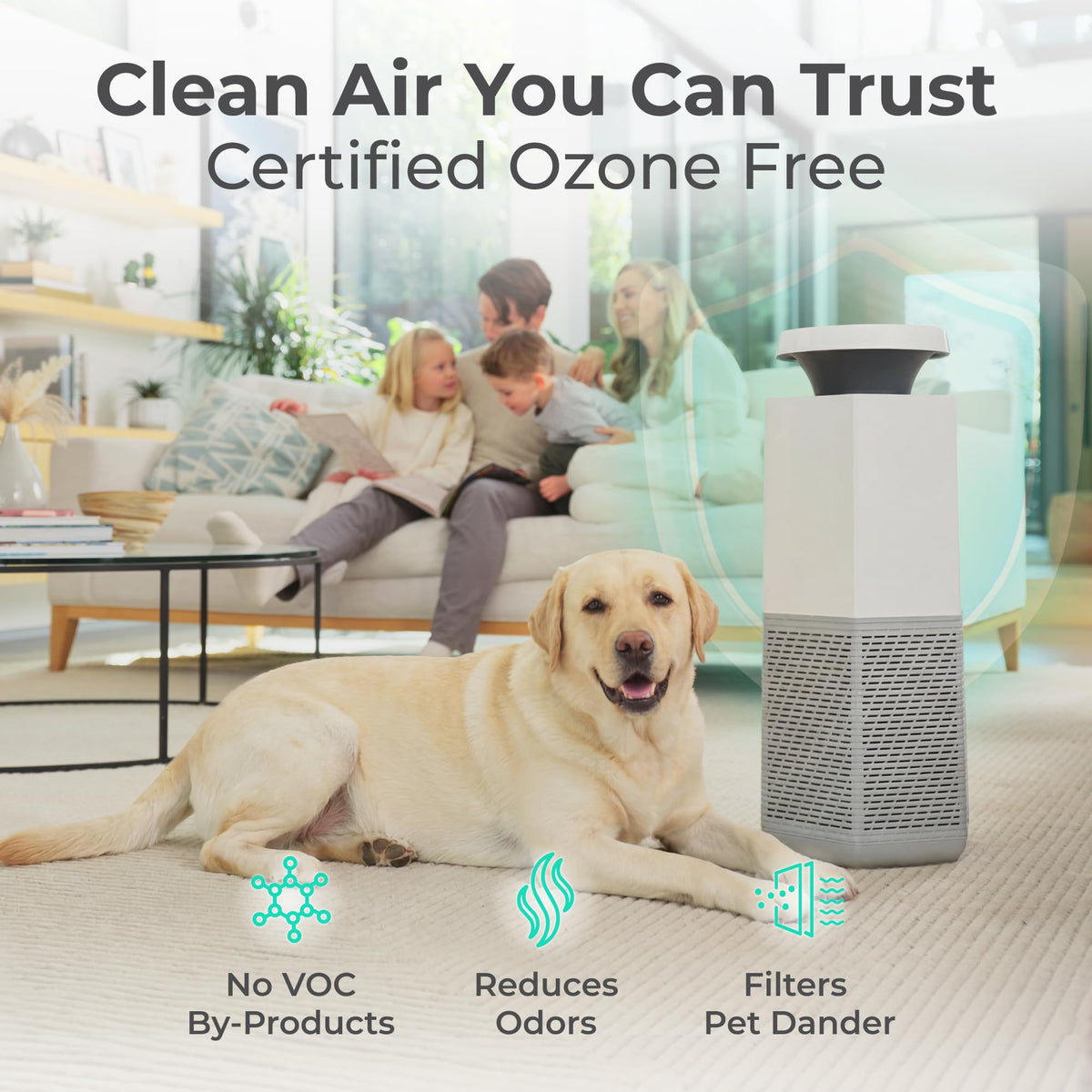 Core C750 Air Purifier for Home