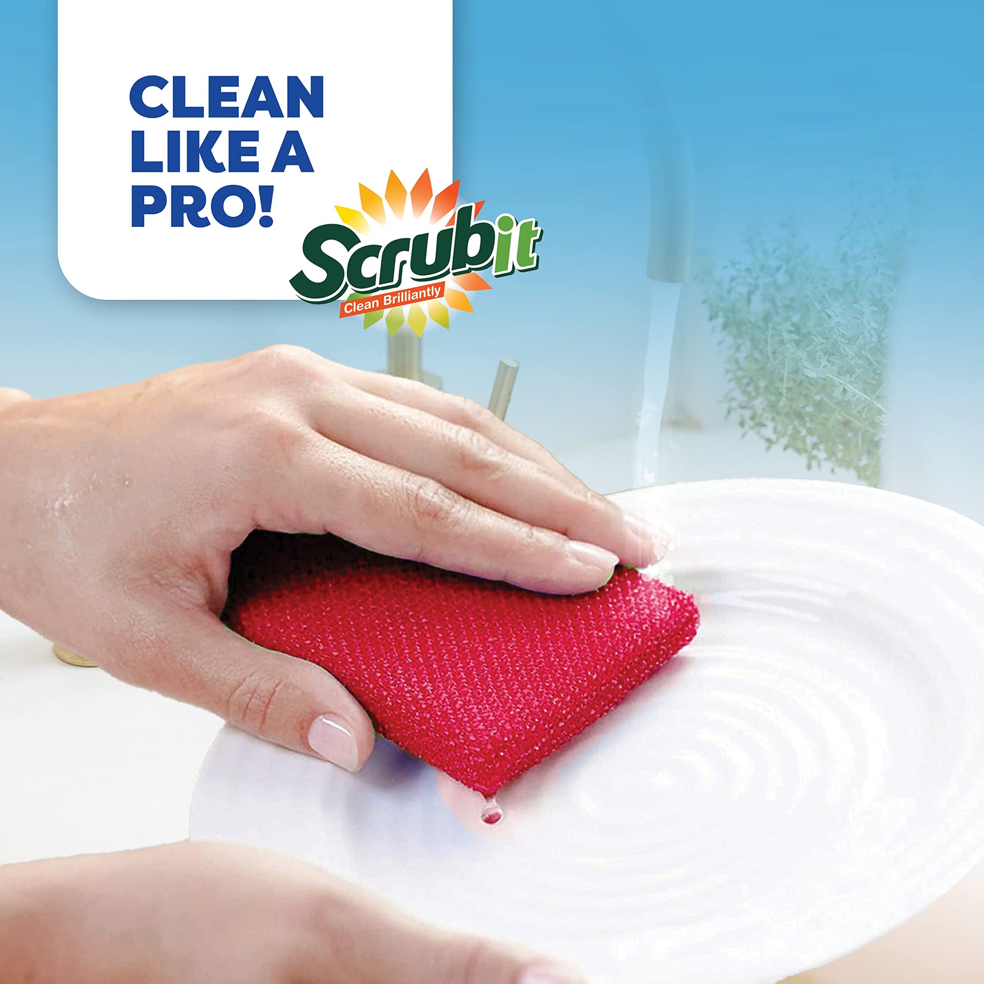 Multi Purpose Dish Scrub Sponge (12 Count)