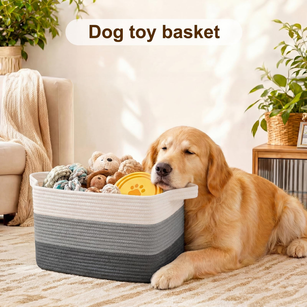 Storage Basket
