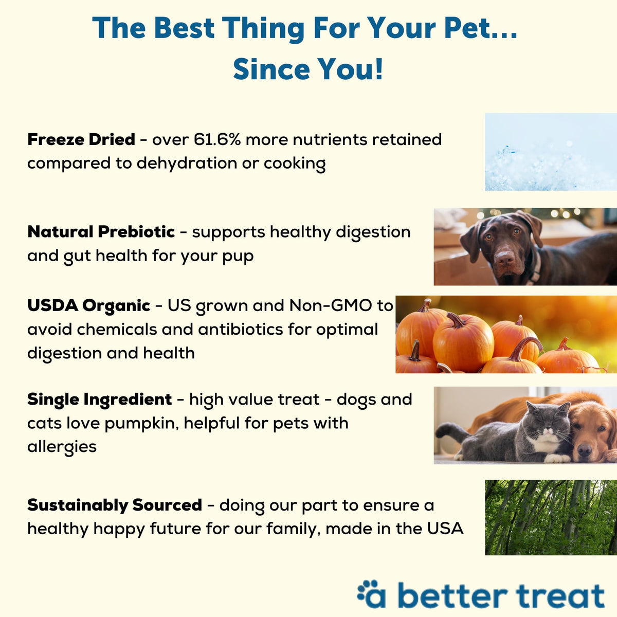 Freeze Dried Organic Pumpkin Dog and Cat Treats