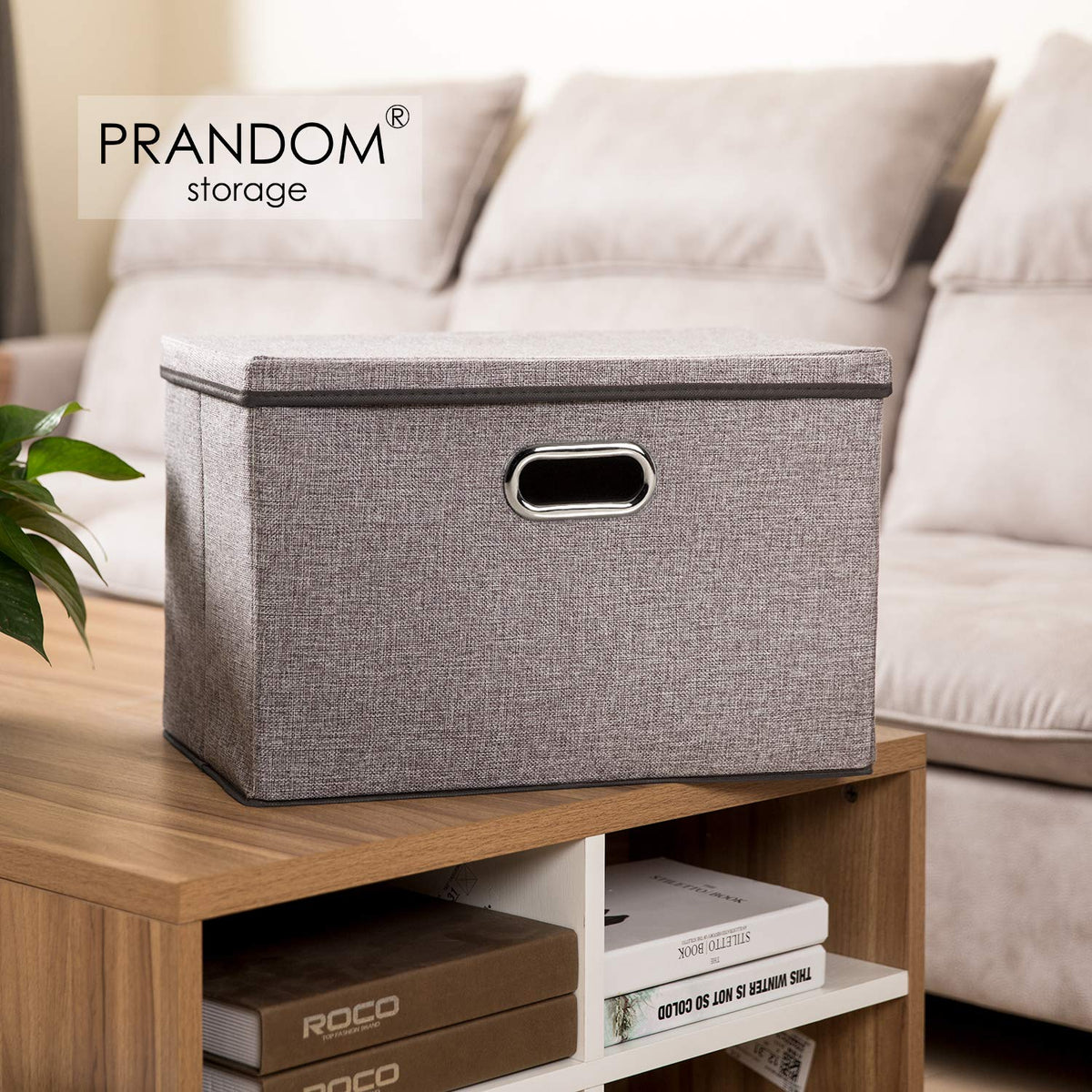 Large Foldable Storage Bin with Lid [1