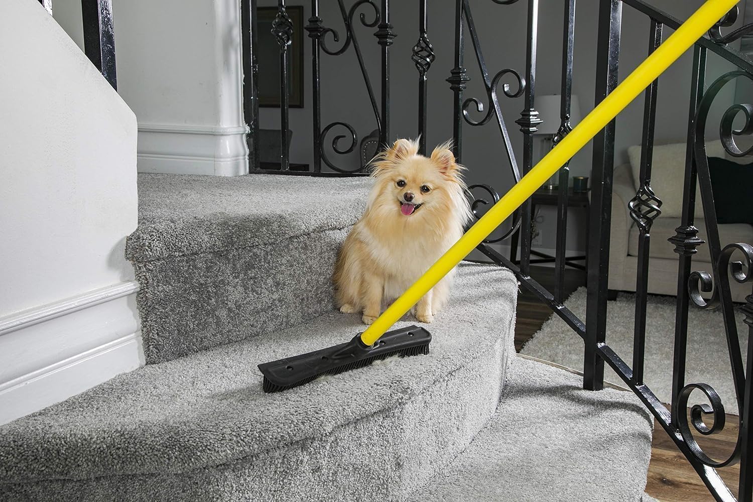 Pet Hair Removal Rubber Broom