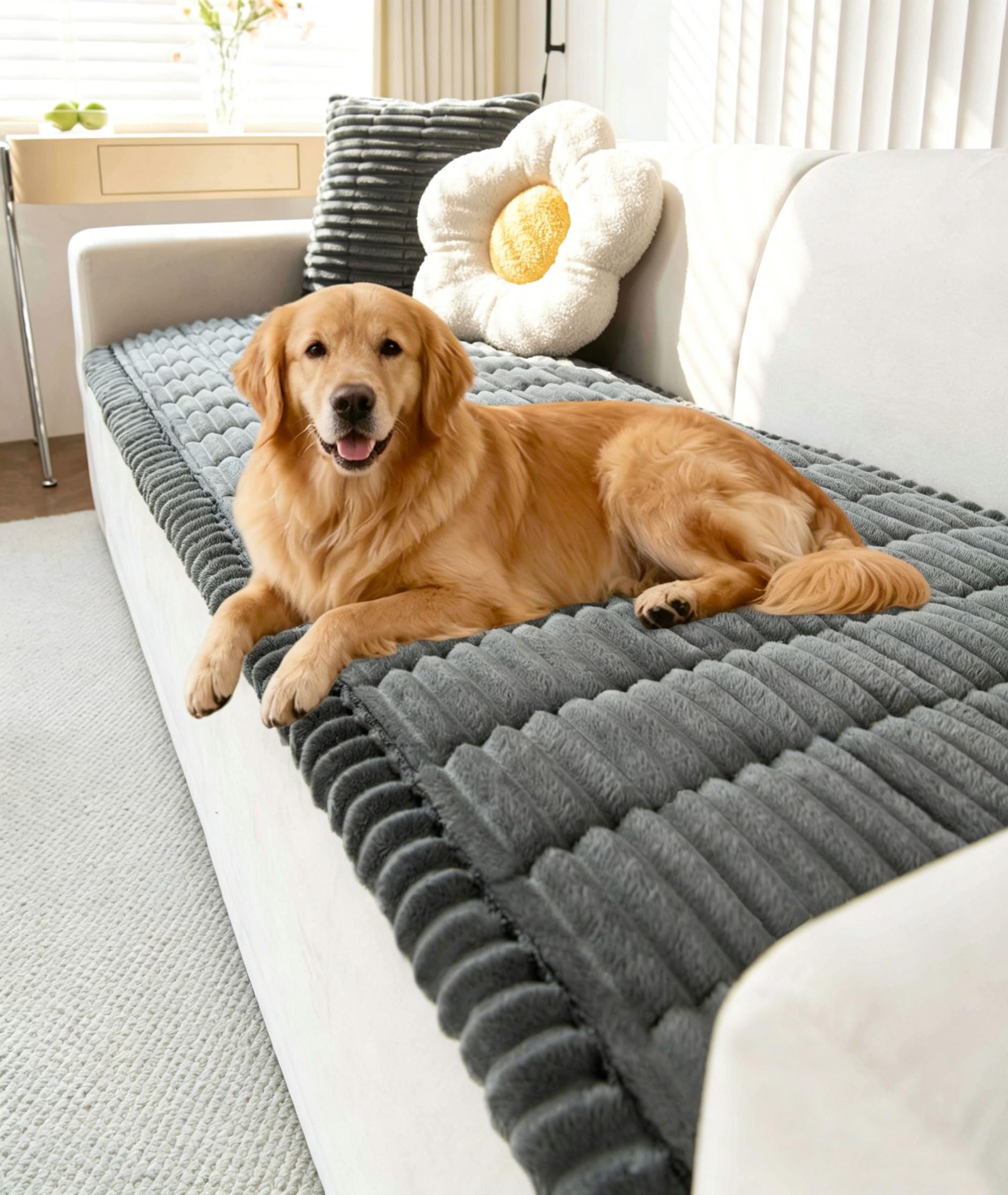 Couch Cover for Dogs Washable (9 Ounce)