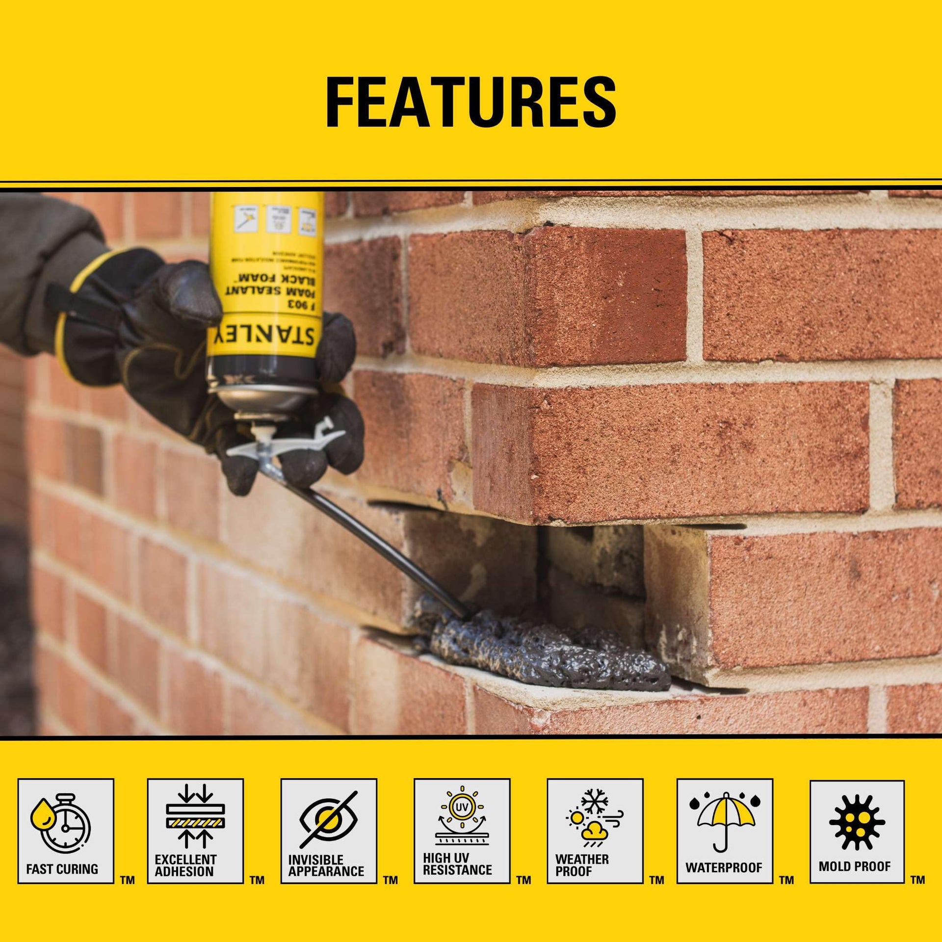 F903 Black Spray Foam Sealant (2 Count)