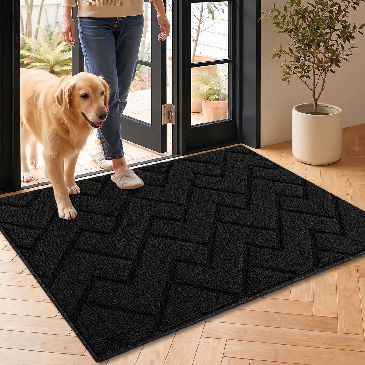 Door Mat Indoor Entrance
