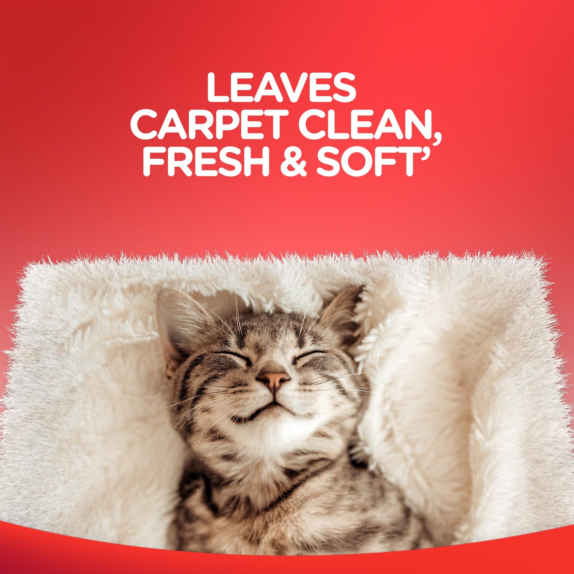Steam Carpet Cleaner Solution Shampoo (60 Ounce)
